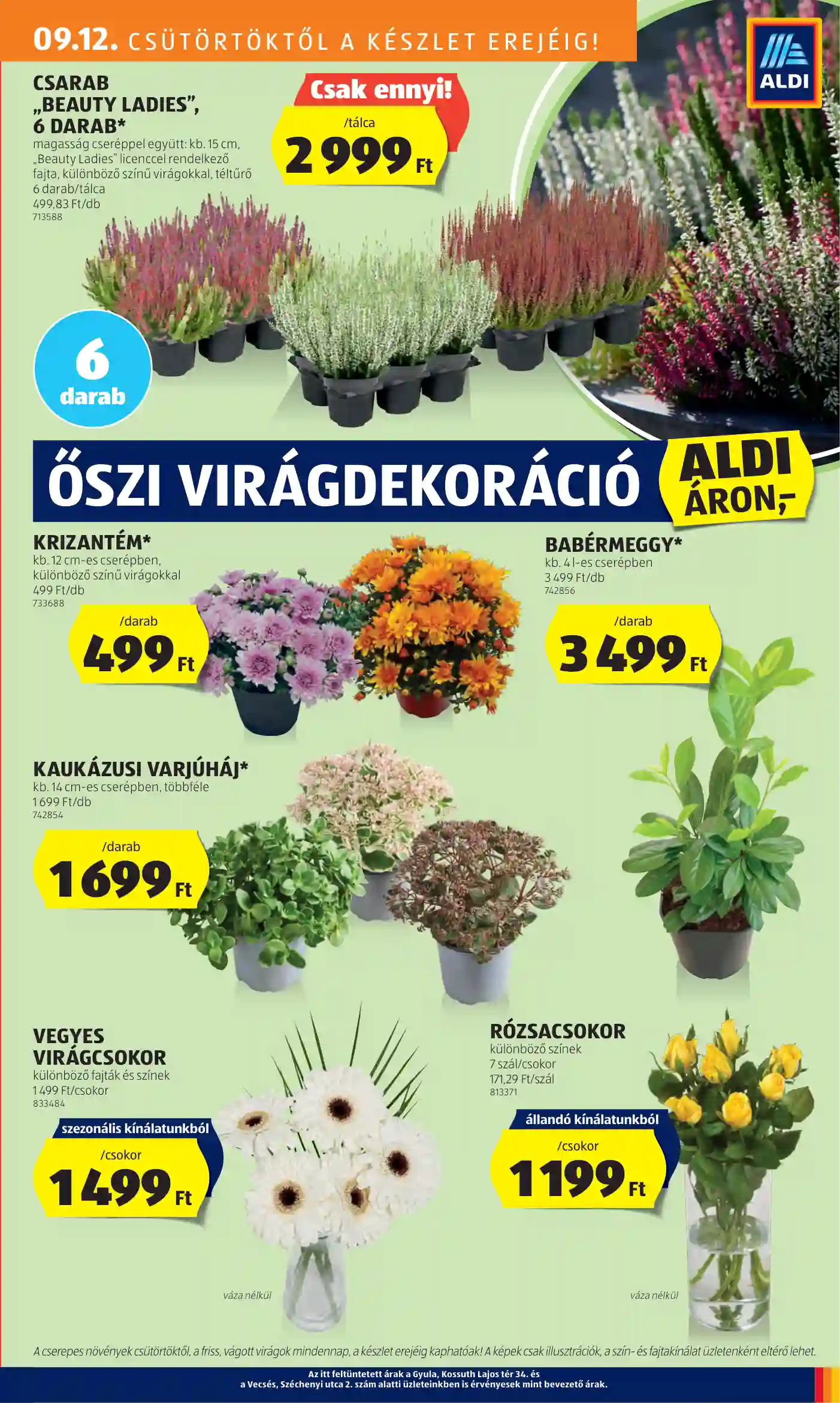 Aldi akciós újság 37. hét (20 oldal)
