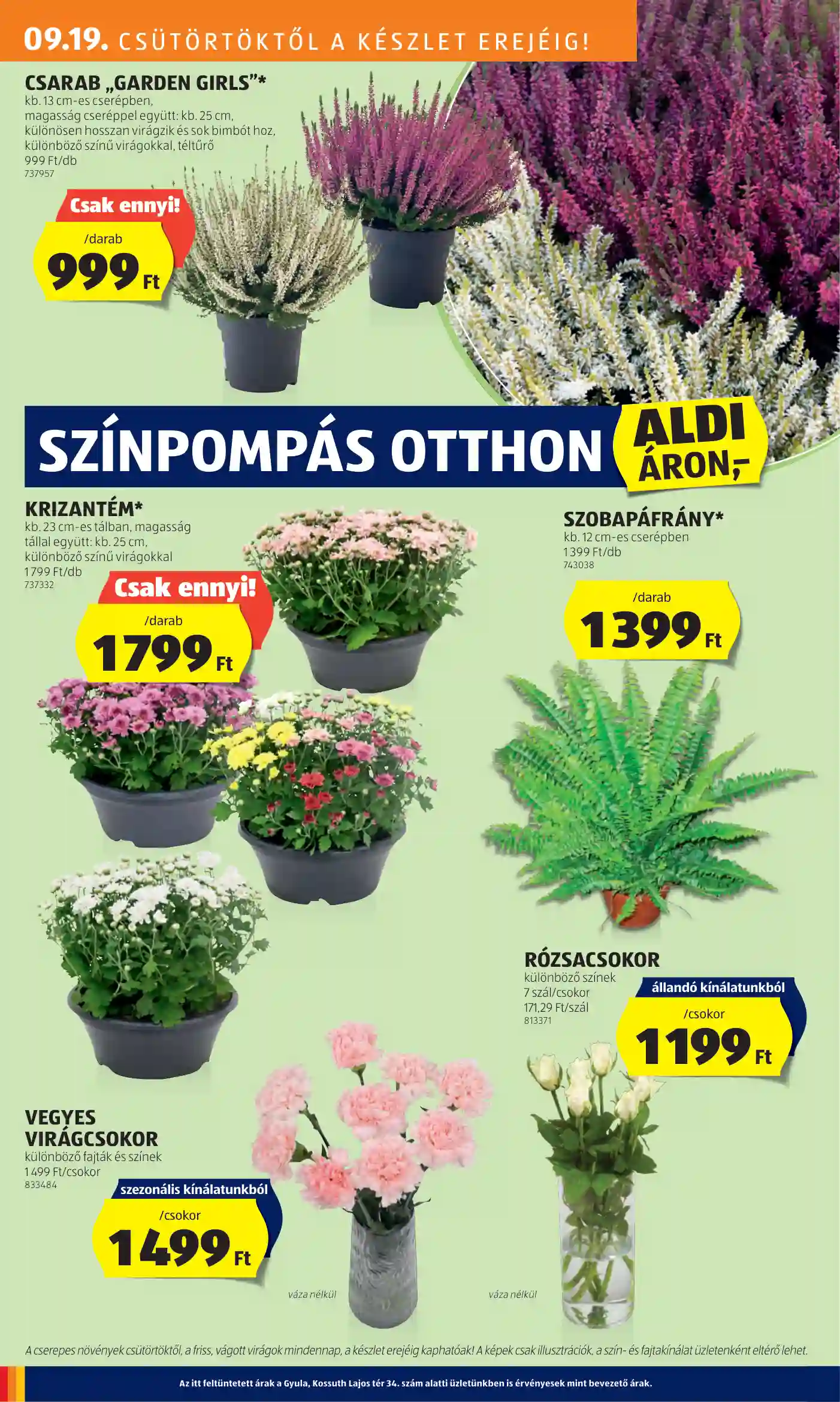 Aldi akciós újság 38. hét (17 oldal)