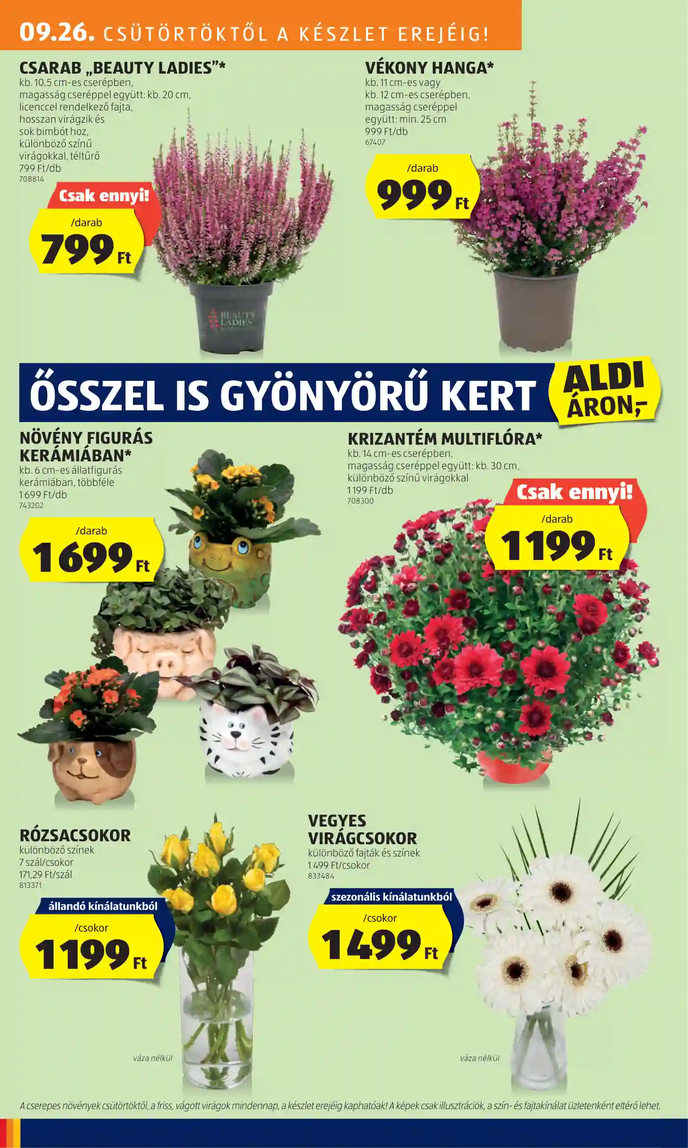 Aldi akciós újság 39. hét (17 oldal)