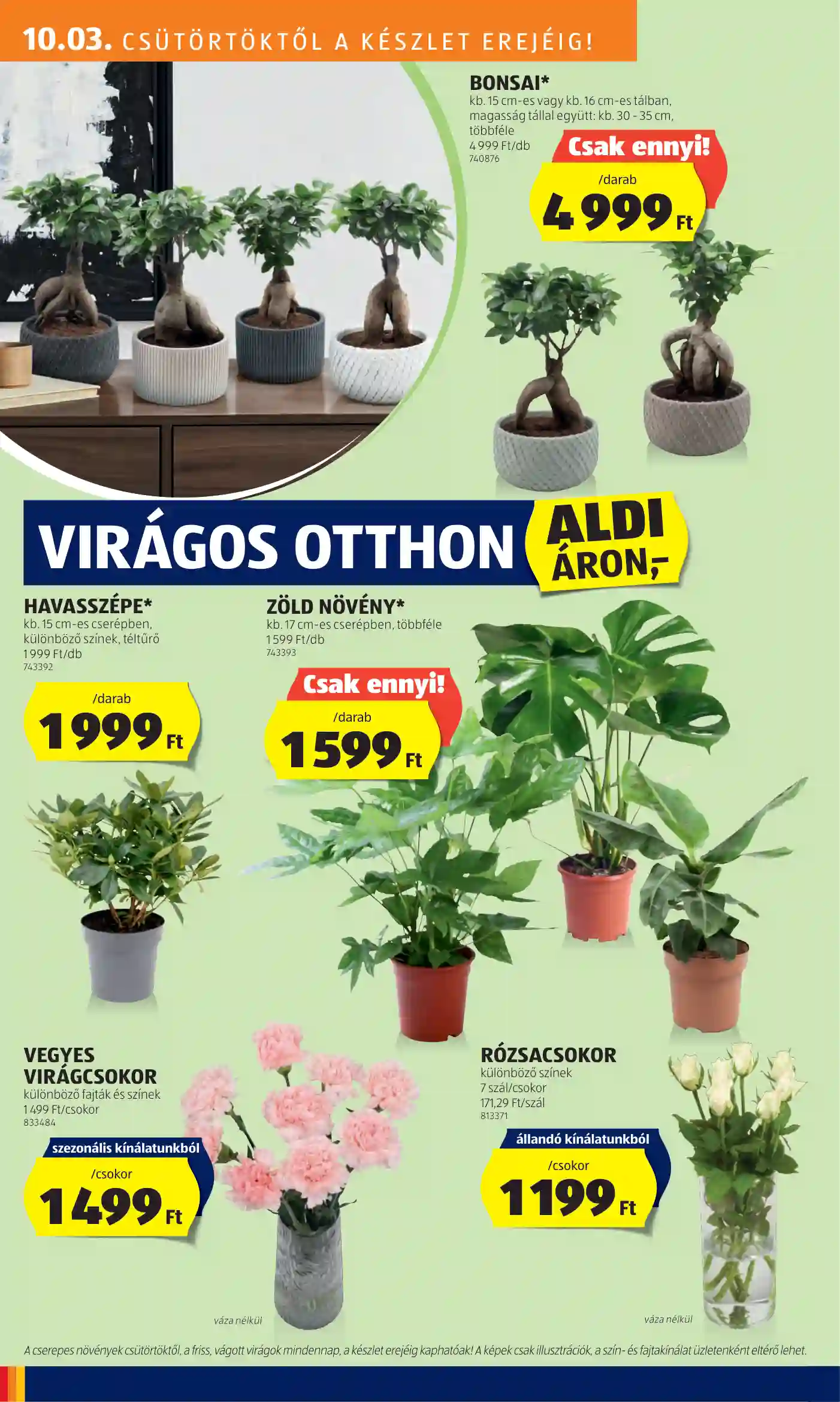 Aldi akciós újság 40. hét (19 oldal)