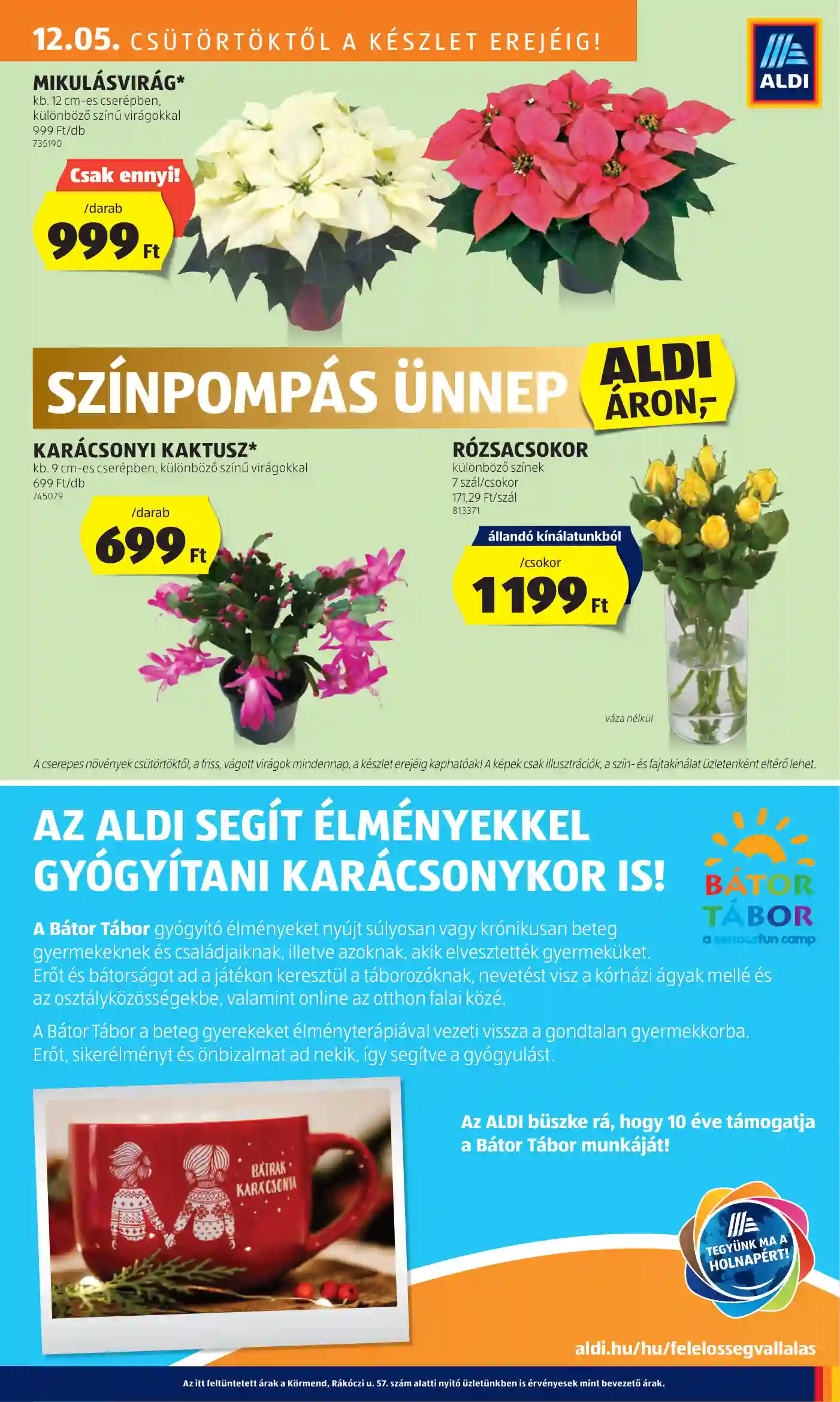 Aldi akciós újság 49. hét (36 oldal)
