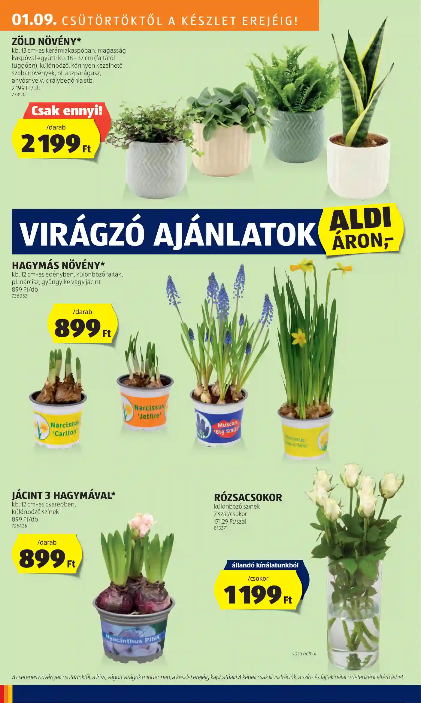 Aldi akciós újság 2. hét (23 oldal)