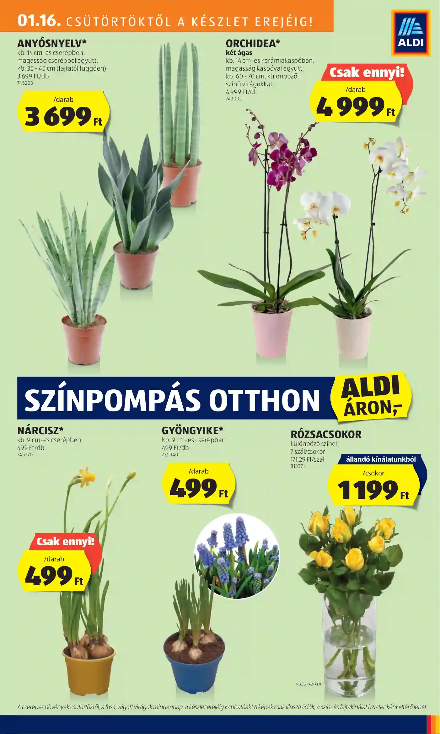 Aldi akciós újság 3. hét (22 oldal)