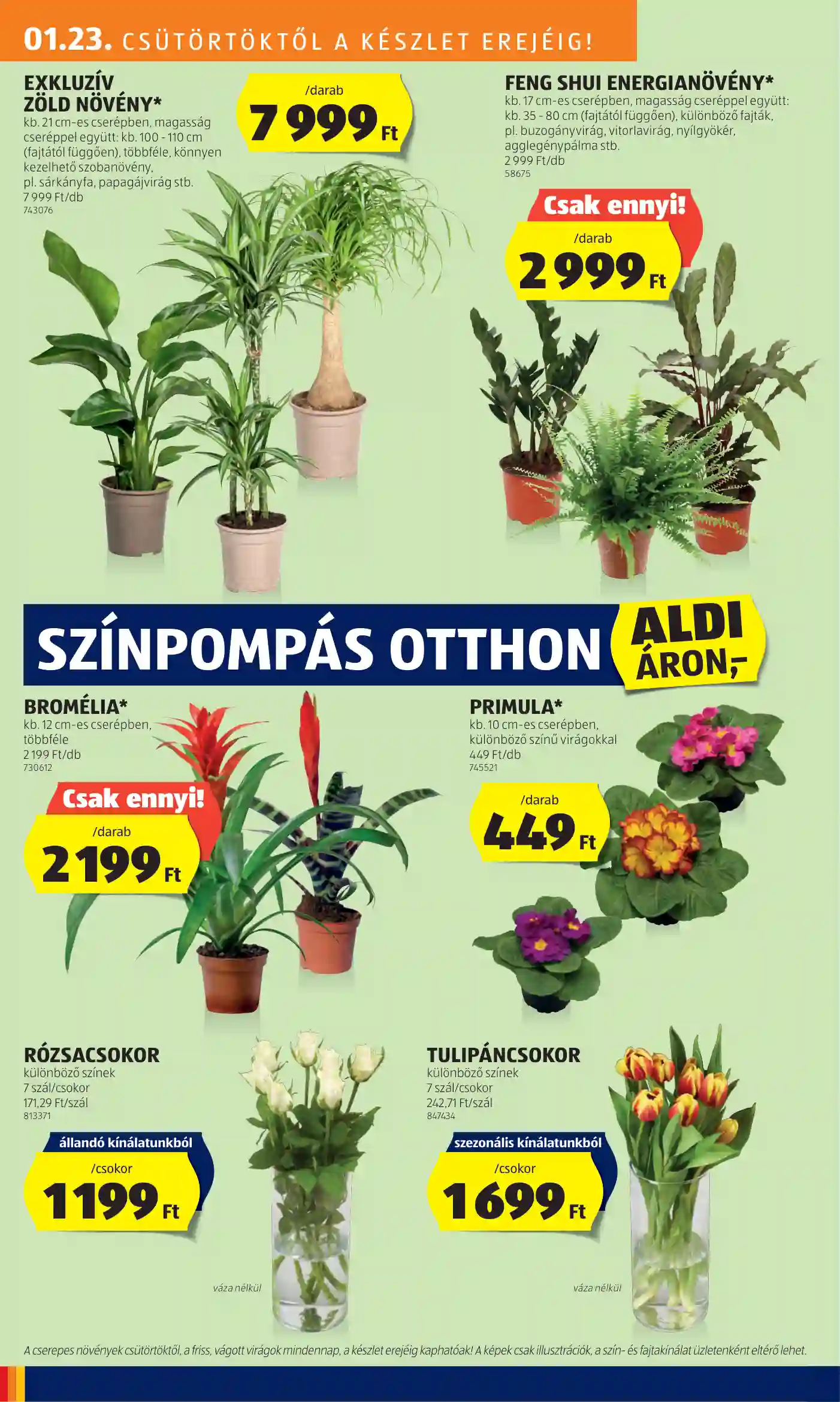 Aldi akciós újság 4. hét (26 oldal)
