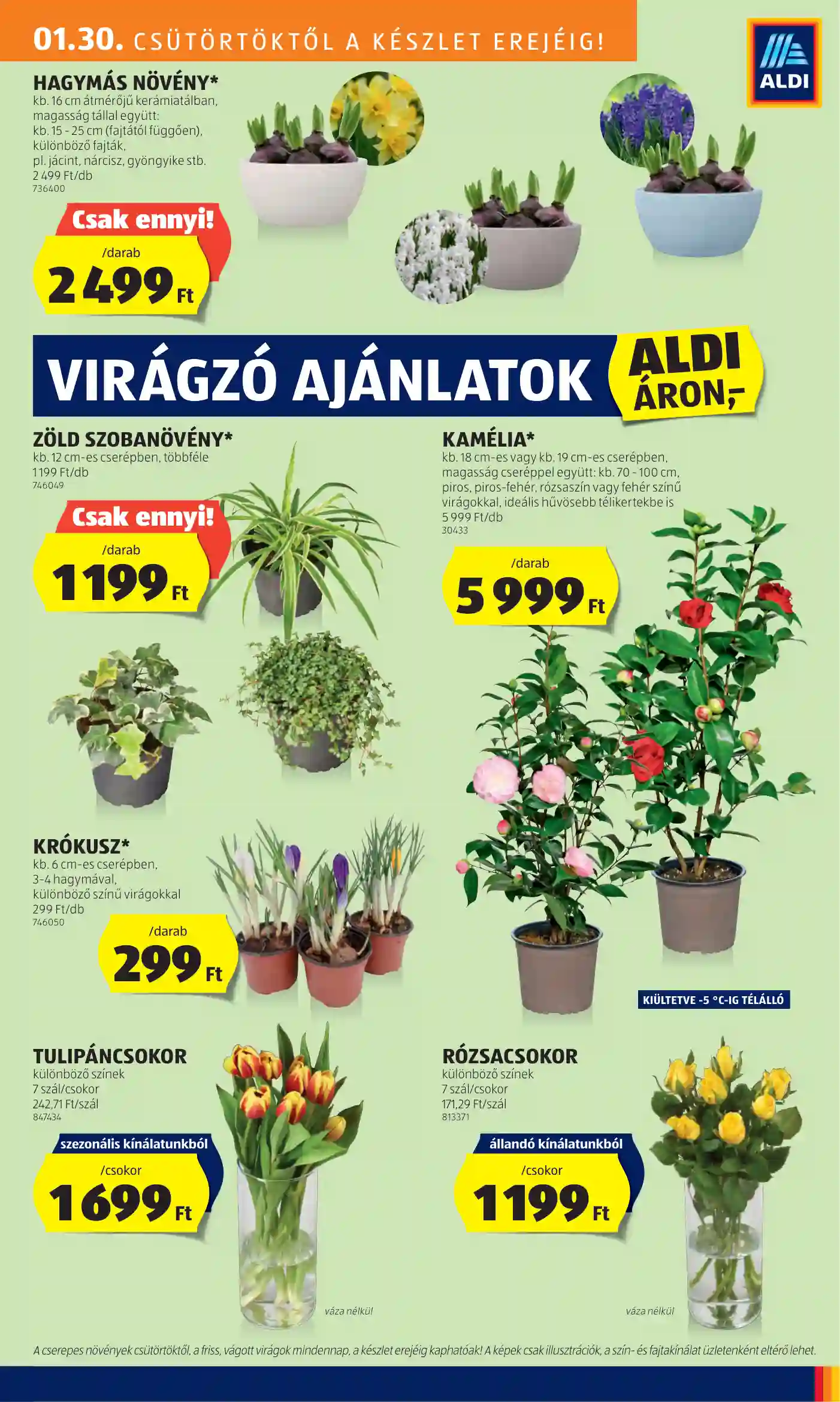 Aldi akciós újság 5. hét (20 oldal)