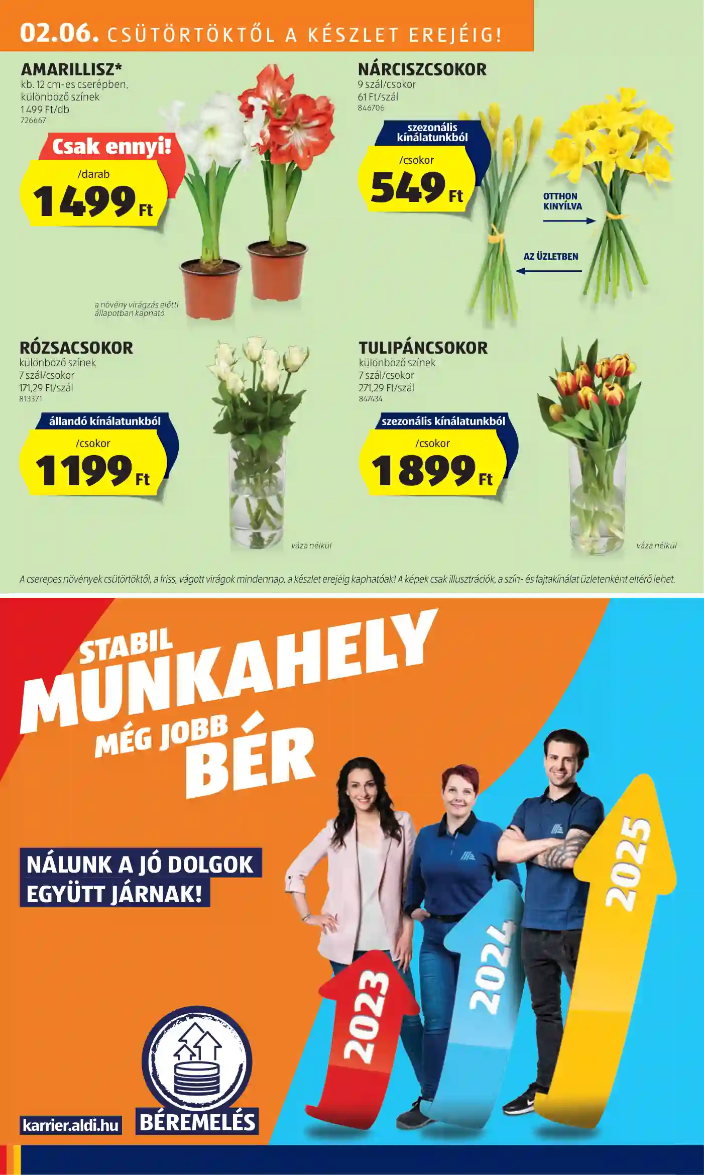 Aldi akciós újság 6. hét (21 oldal)