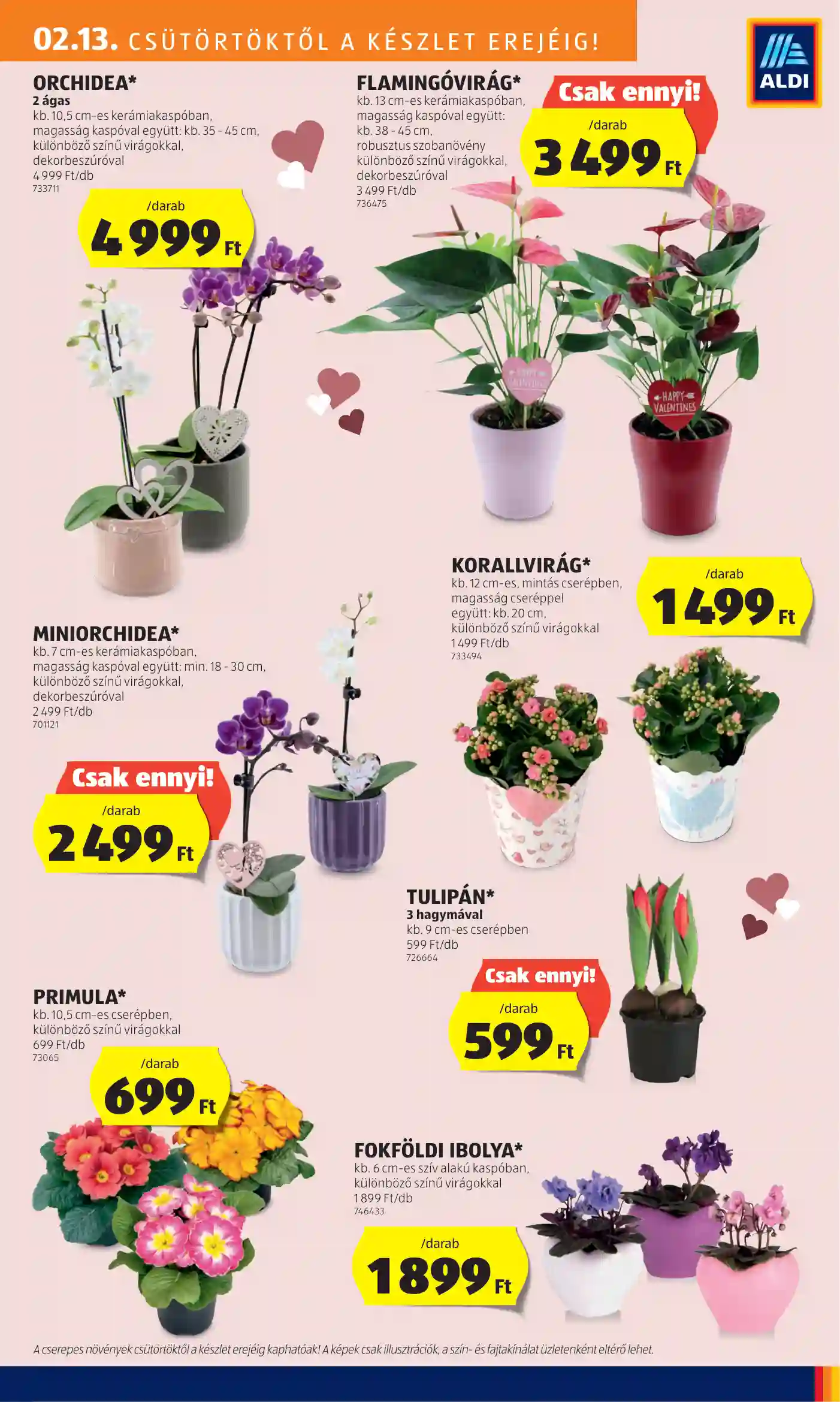 Aldi akciós újság 7. hét (25 oldal)