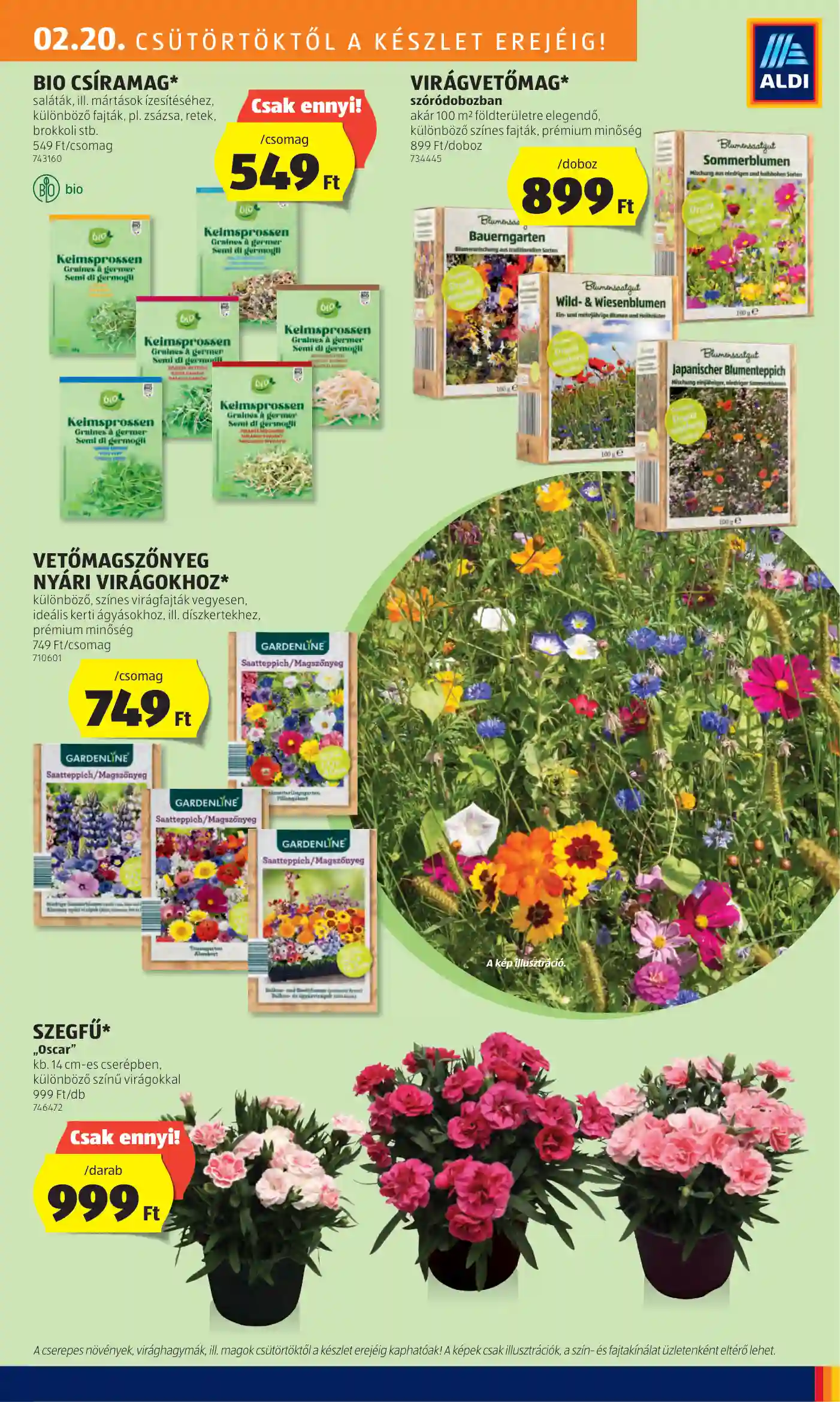 Aldi akciós újság 8. hét (29 oldal)