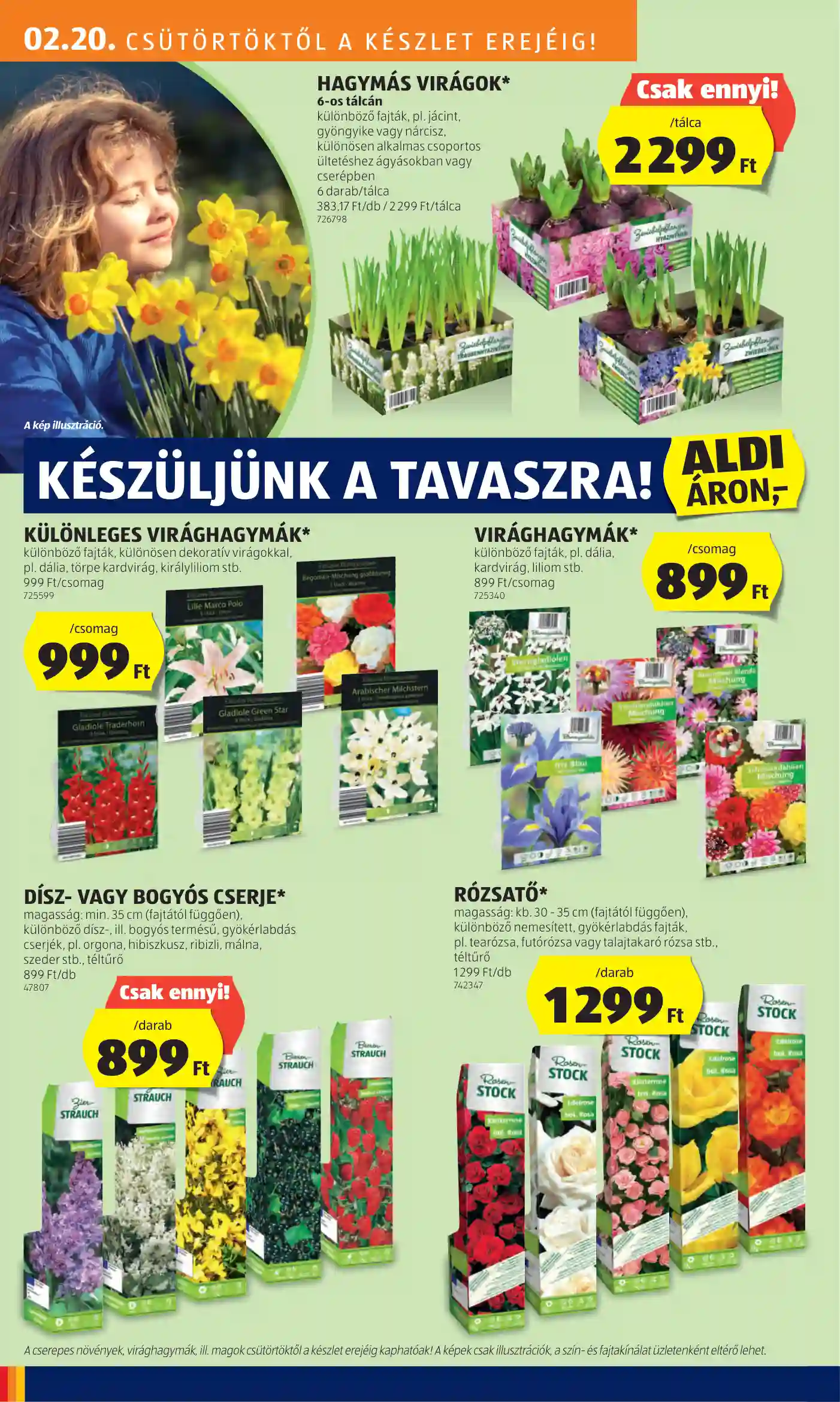 Aldi akciós újság 8. hét (28 oldal)