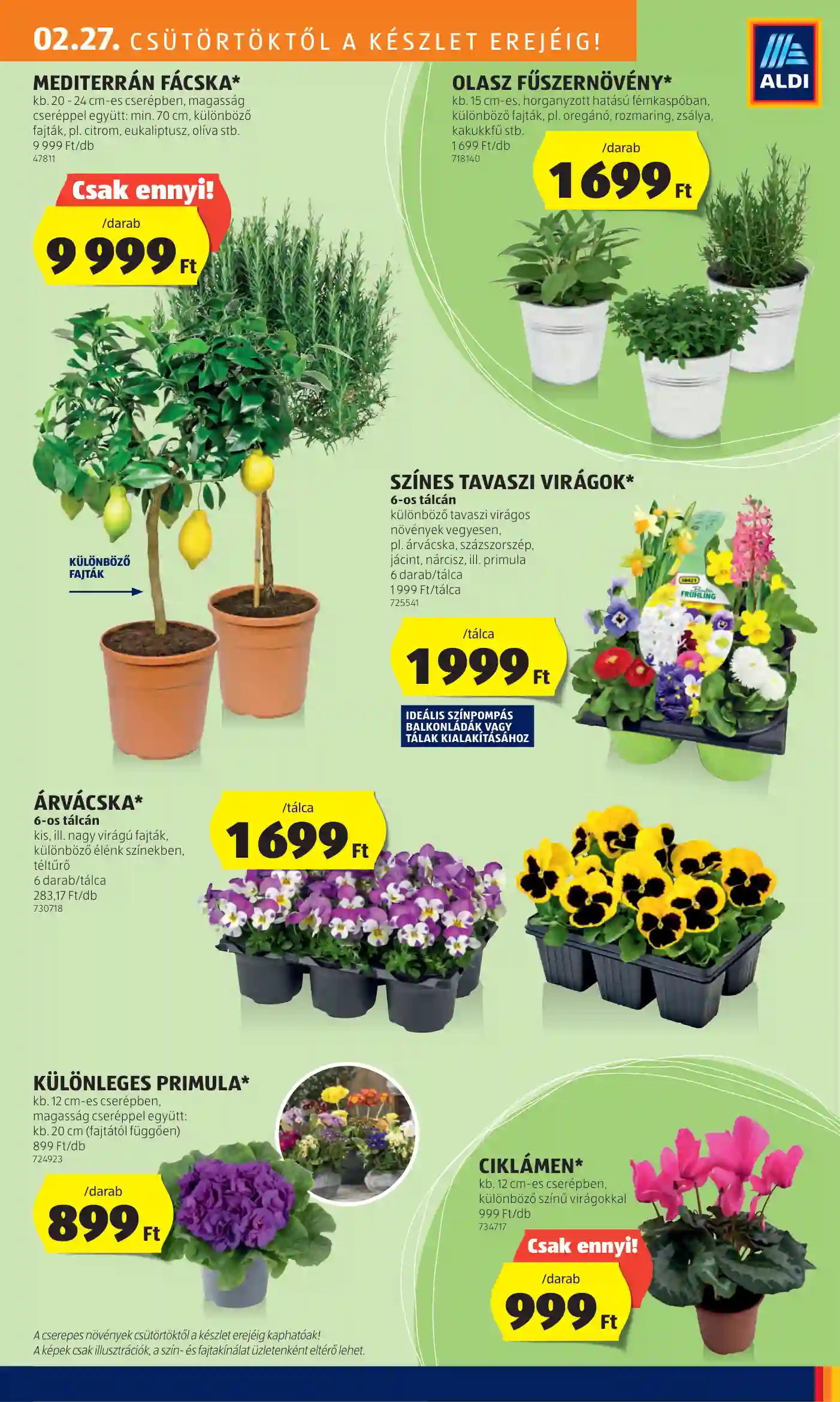 Aldi akciós újság 9. hét (22 oldal)