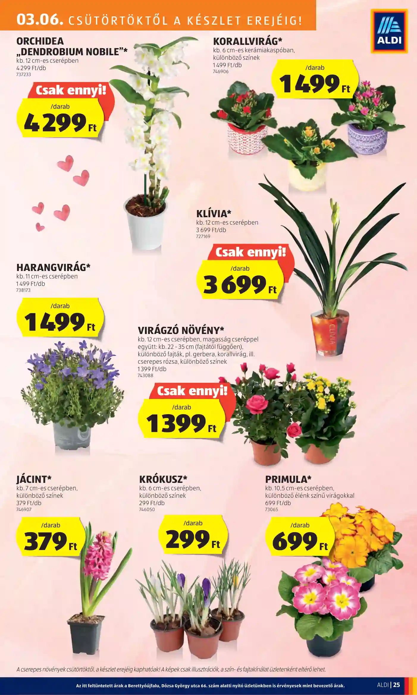 Aldi akciós újság 10. hét (22 oldal)