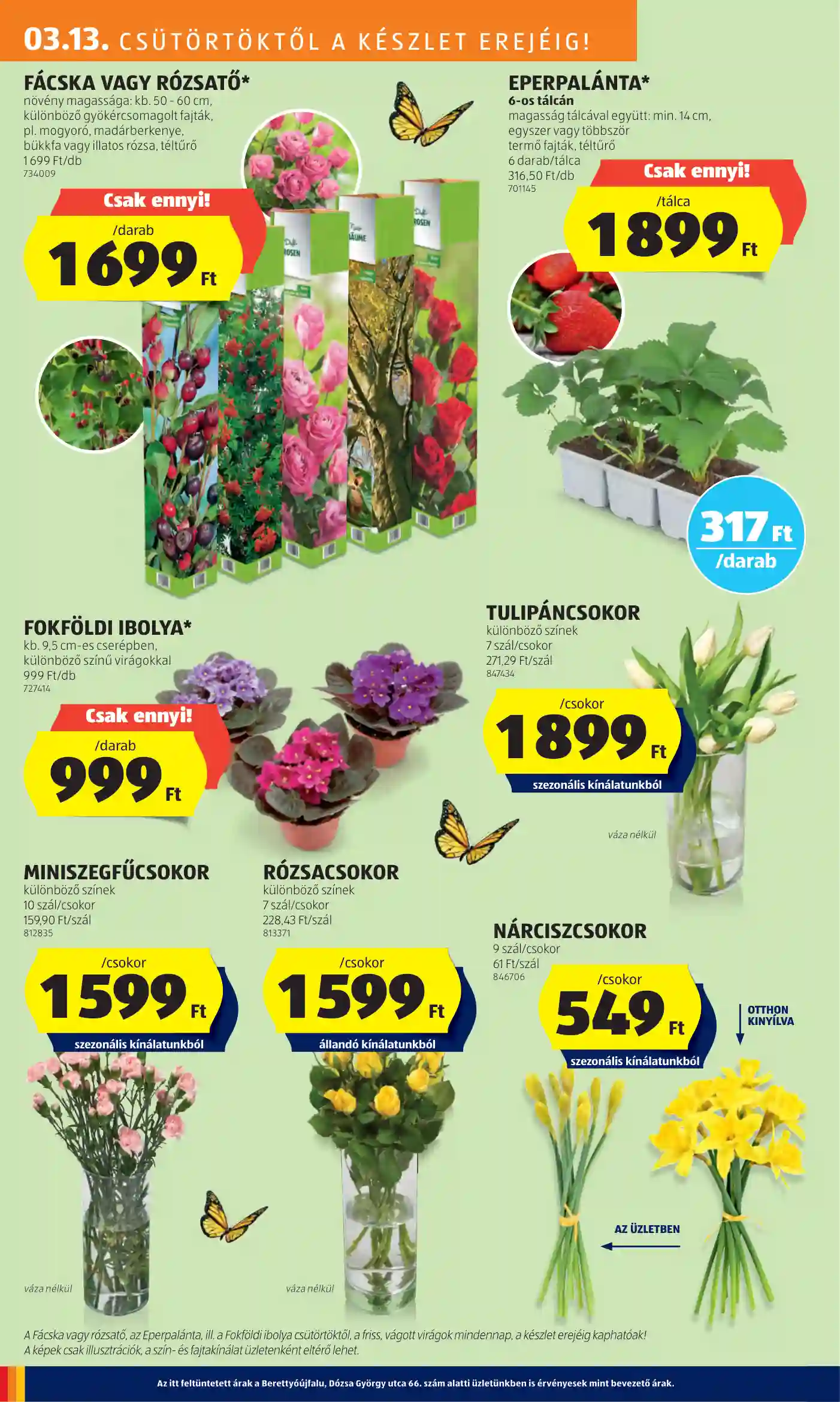 Aldi akciós újság 11. hét (21 oldal)