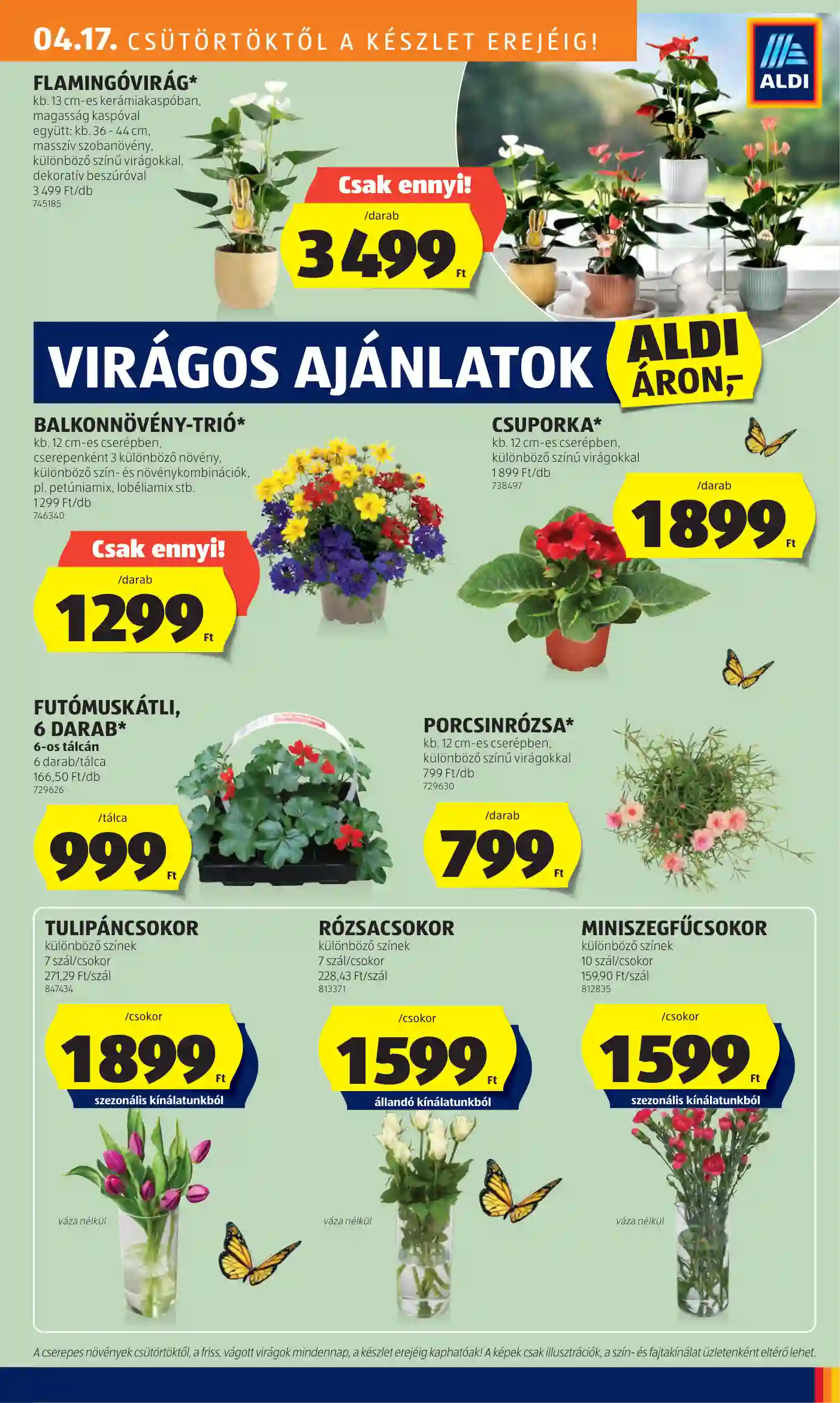 Aldi akciós újság 16. hét (22 oldal)