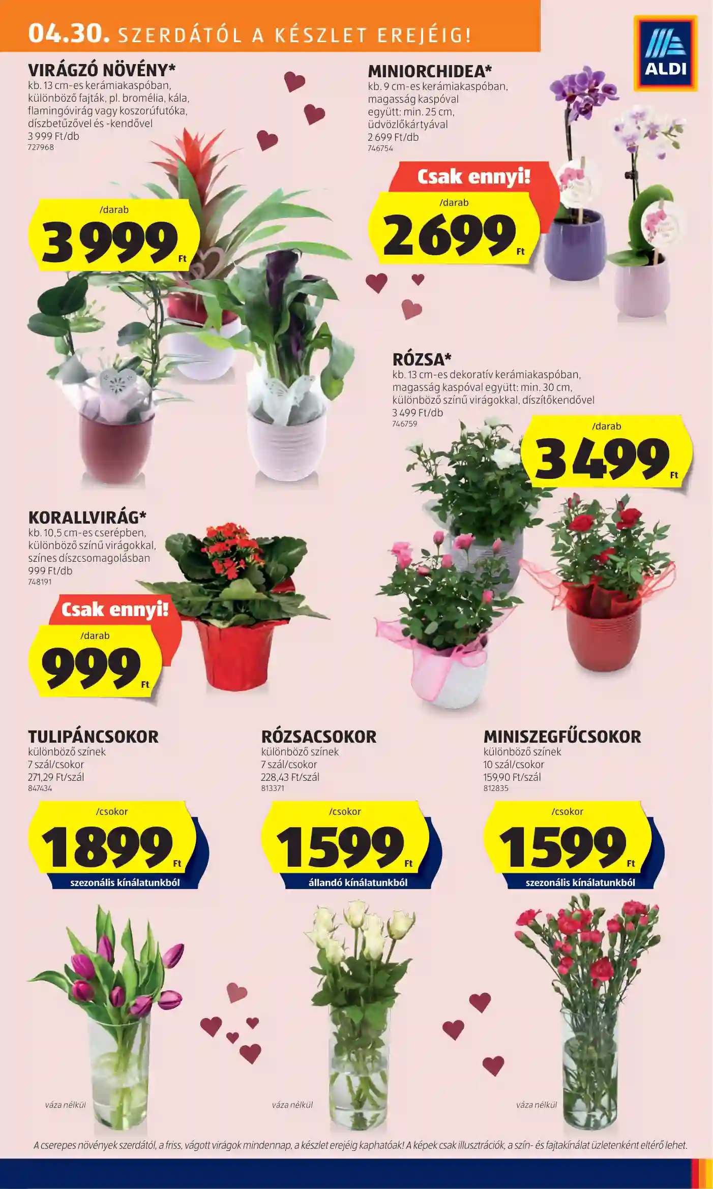 Aldi akciós újság 18. hét (11 oldal)