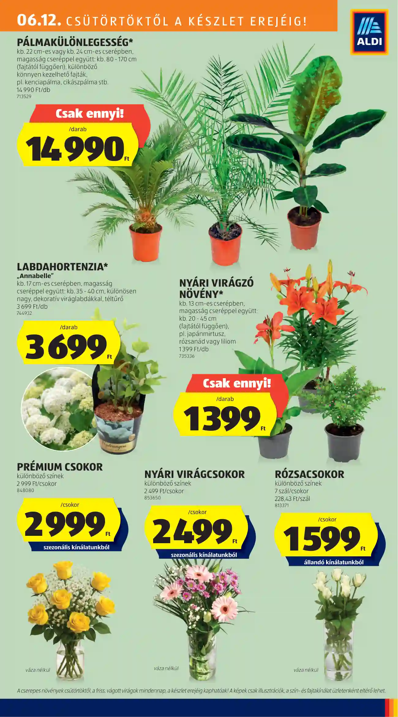 Aldi akciós újság 24. hét (22 oldal)