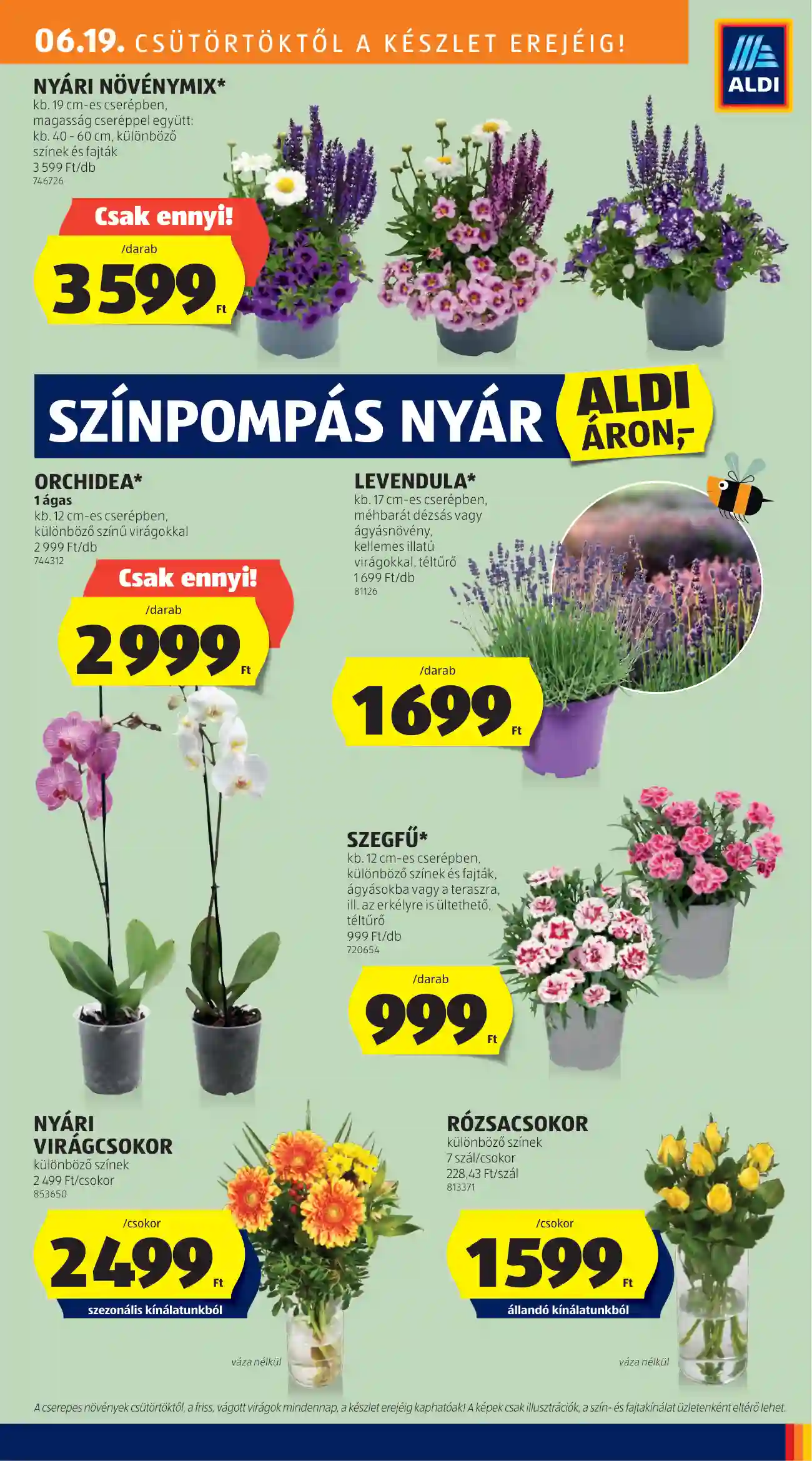 Aldi akciós újság 25. hét (18 oldal)