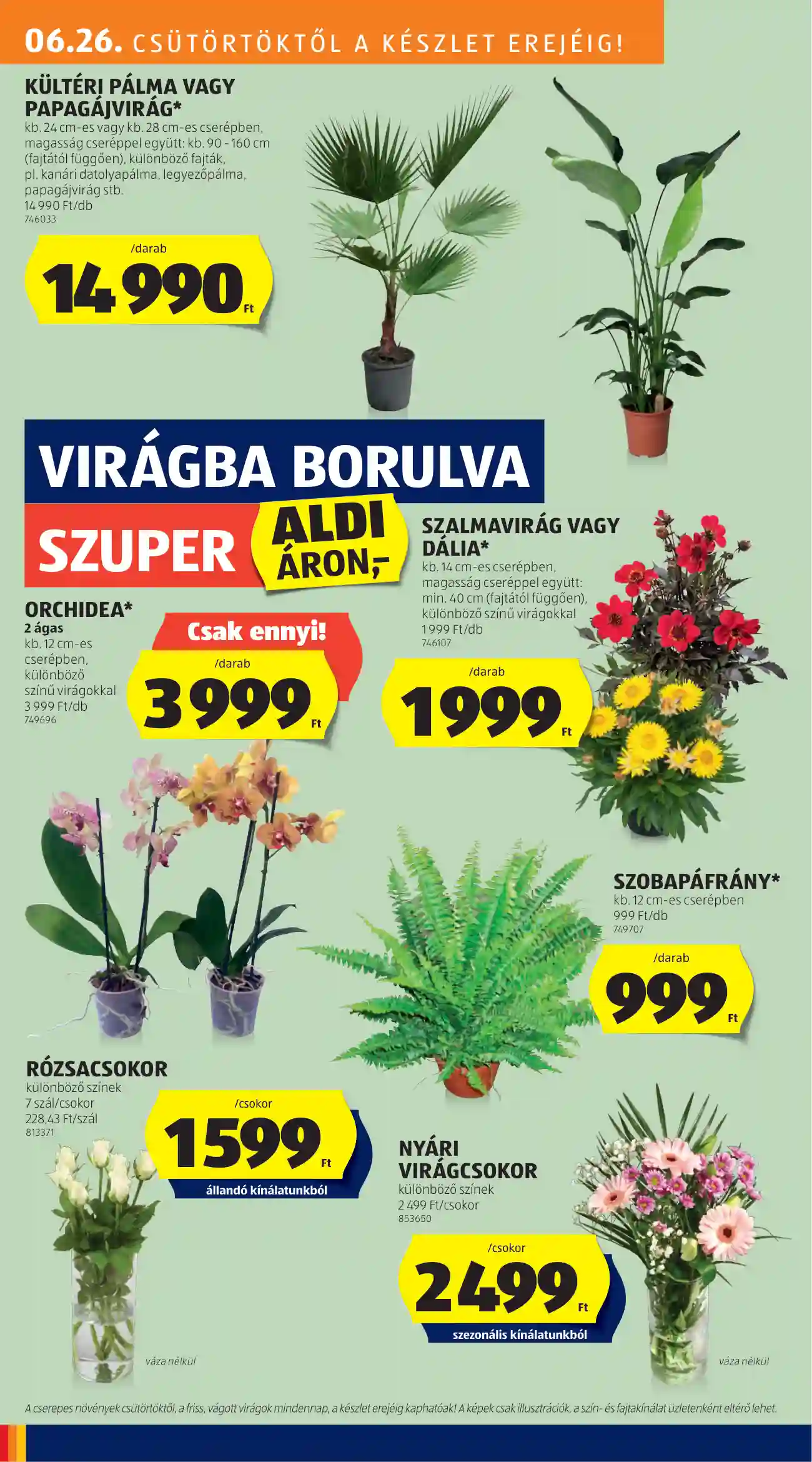 Aldi akciós újság 26. hét (21 oldal)