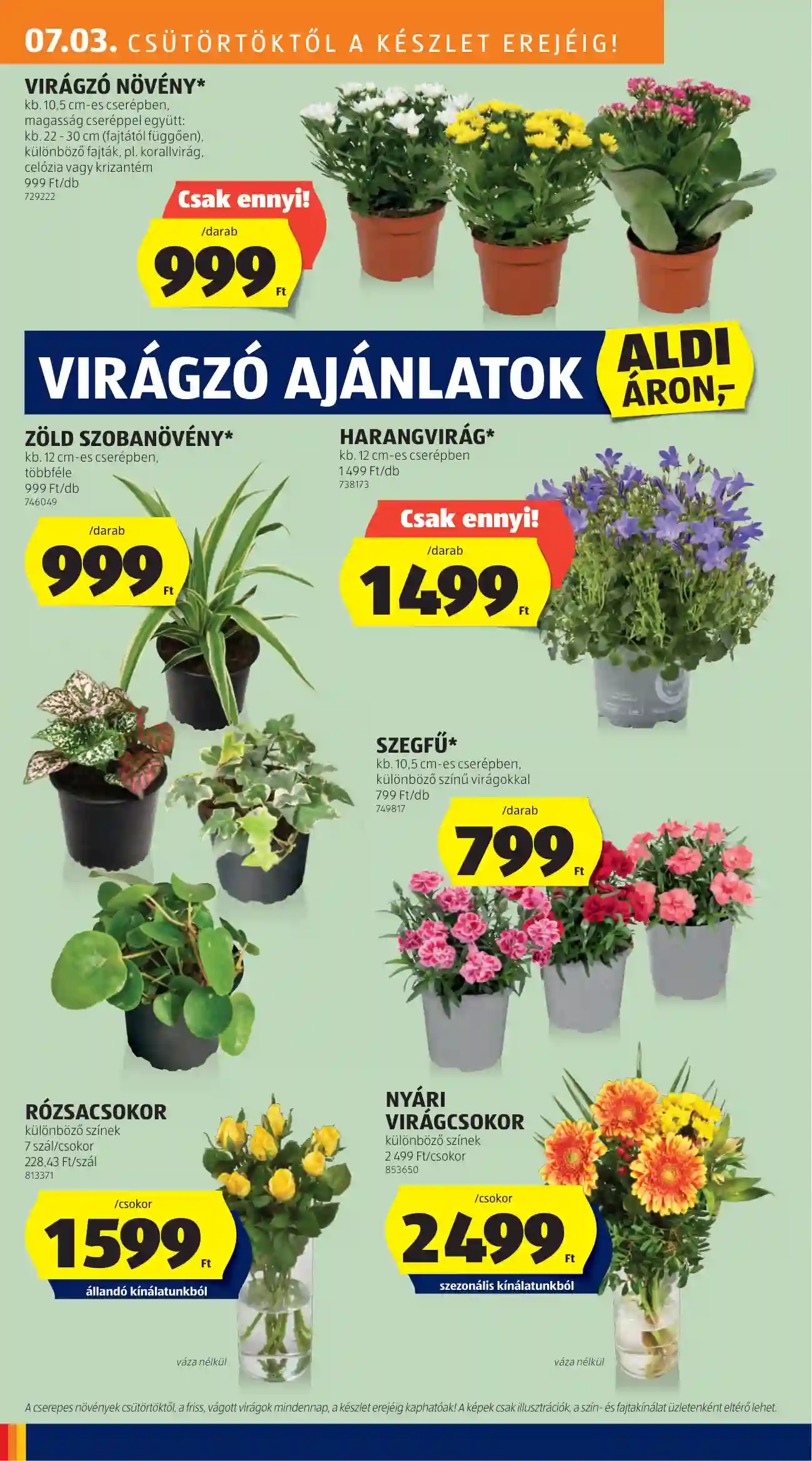 Aldi akciós újság 27. hét (21 oldal)
