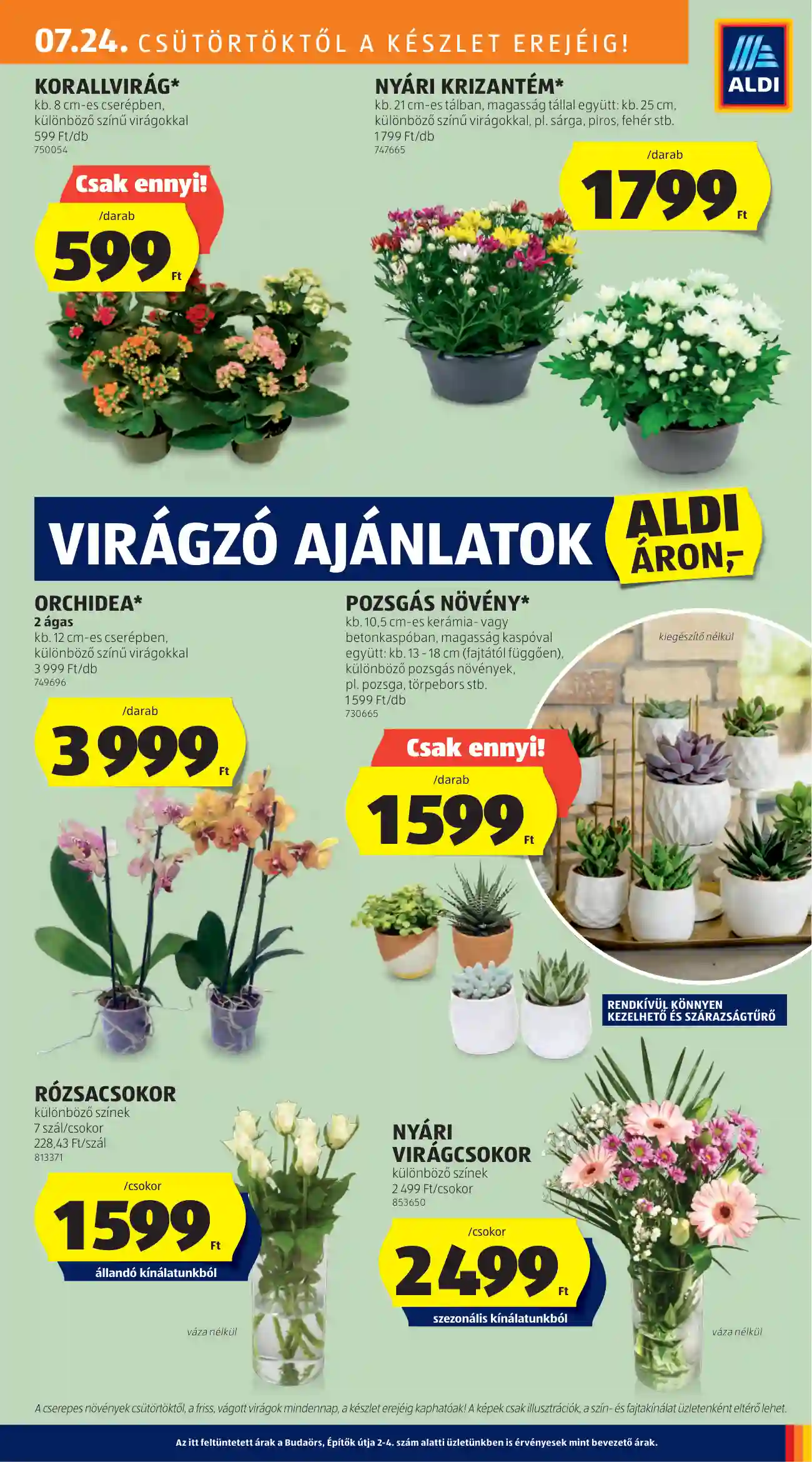 Aldi akciós újság 30. hét (20 oldal)