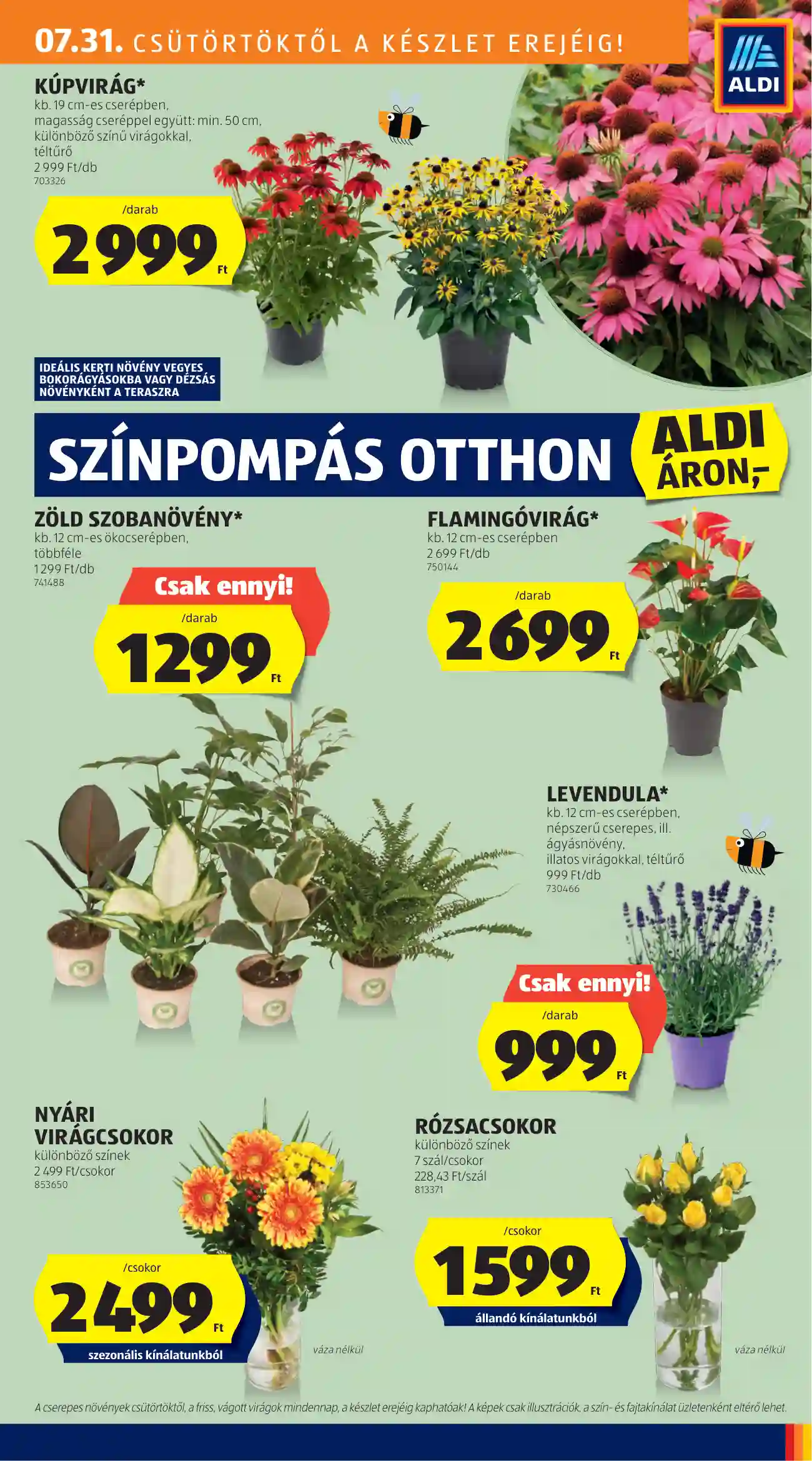 Aldi akciós újság 31. hét (22 oldal)