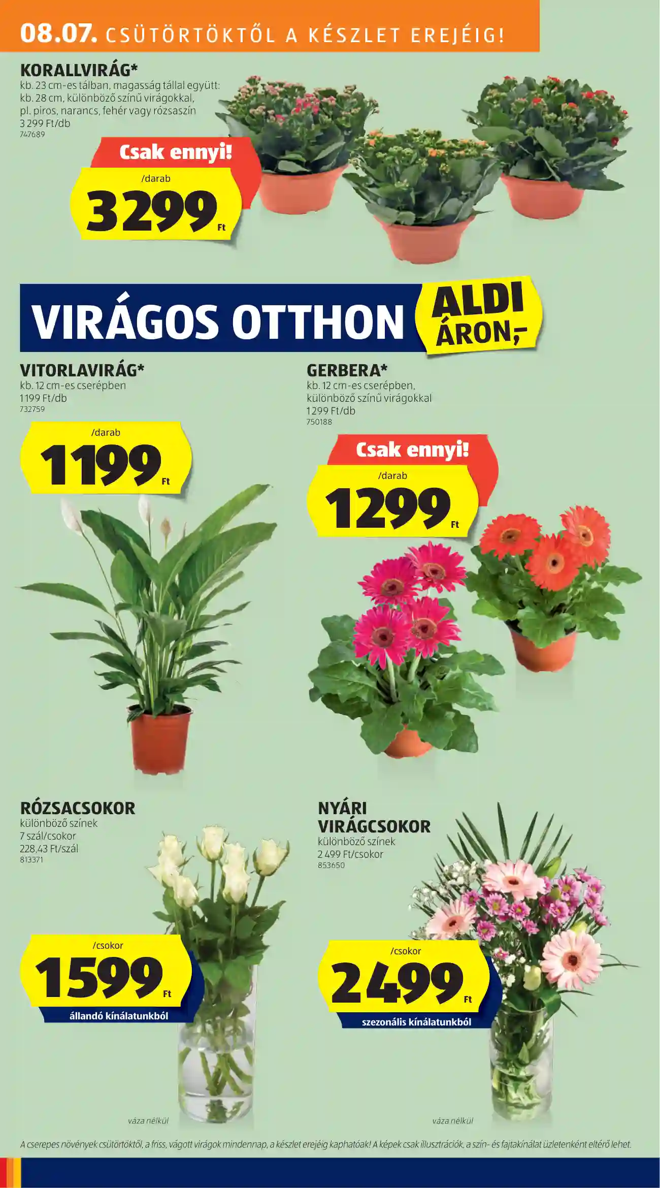 Aldi akciós újság 32. hét (21 oldal)