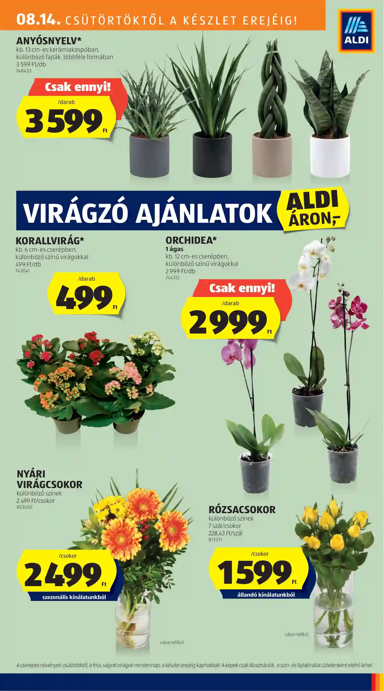 Aldi akciós újság 33. hét (20 oldal)