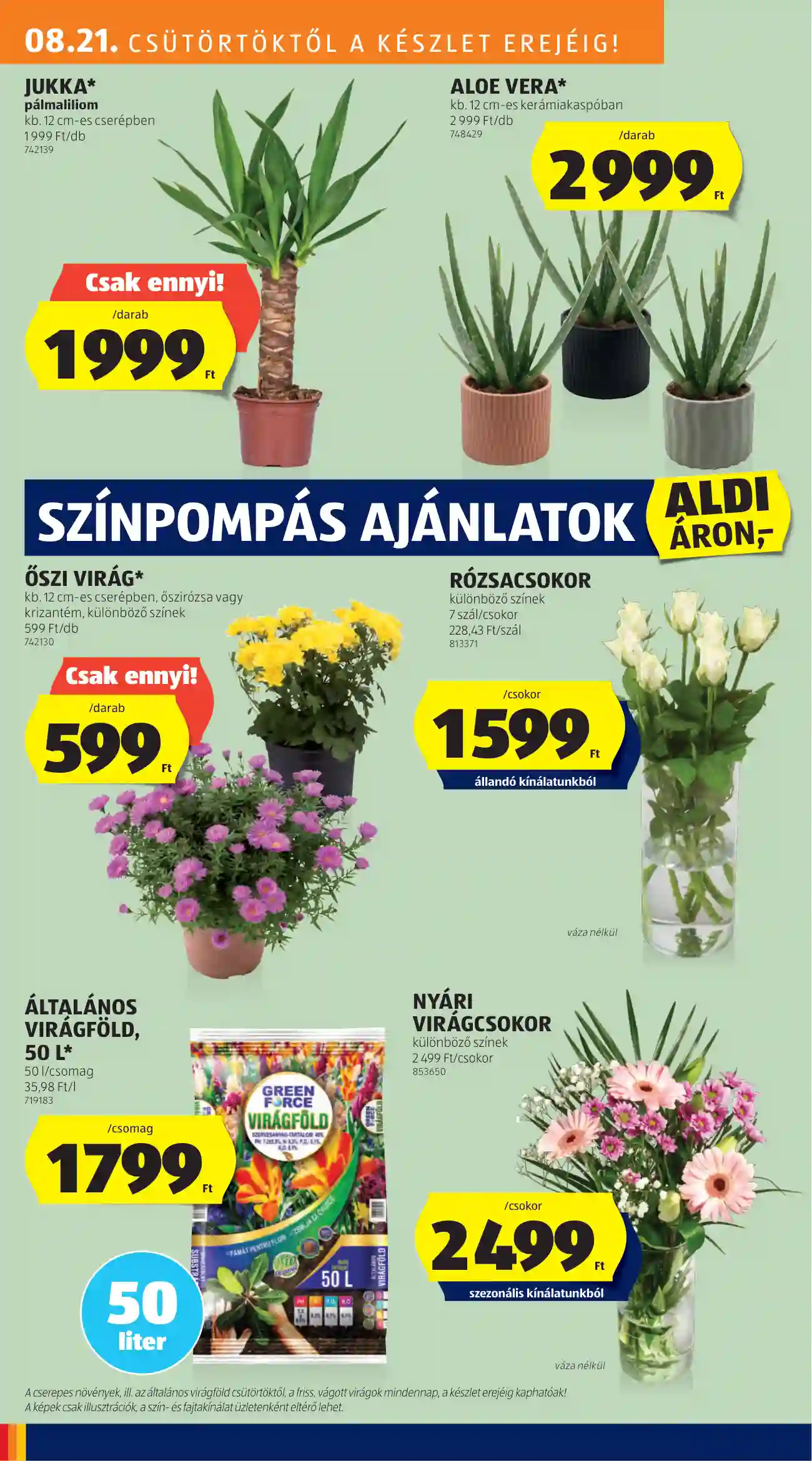 Aldi akciós újság 34. hét (19 oldal)