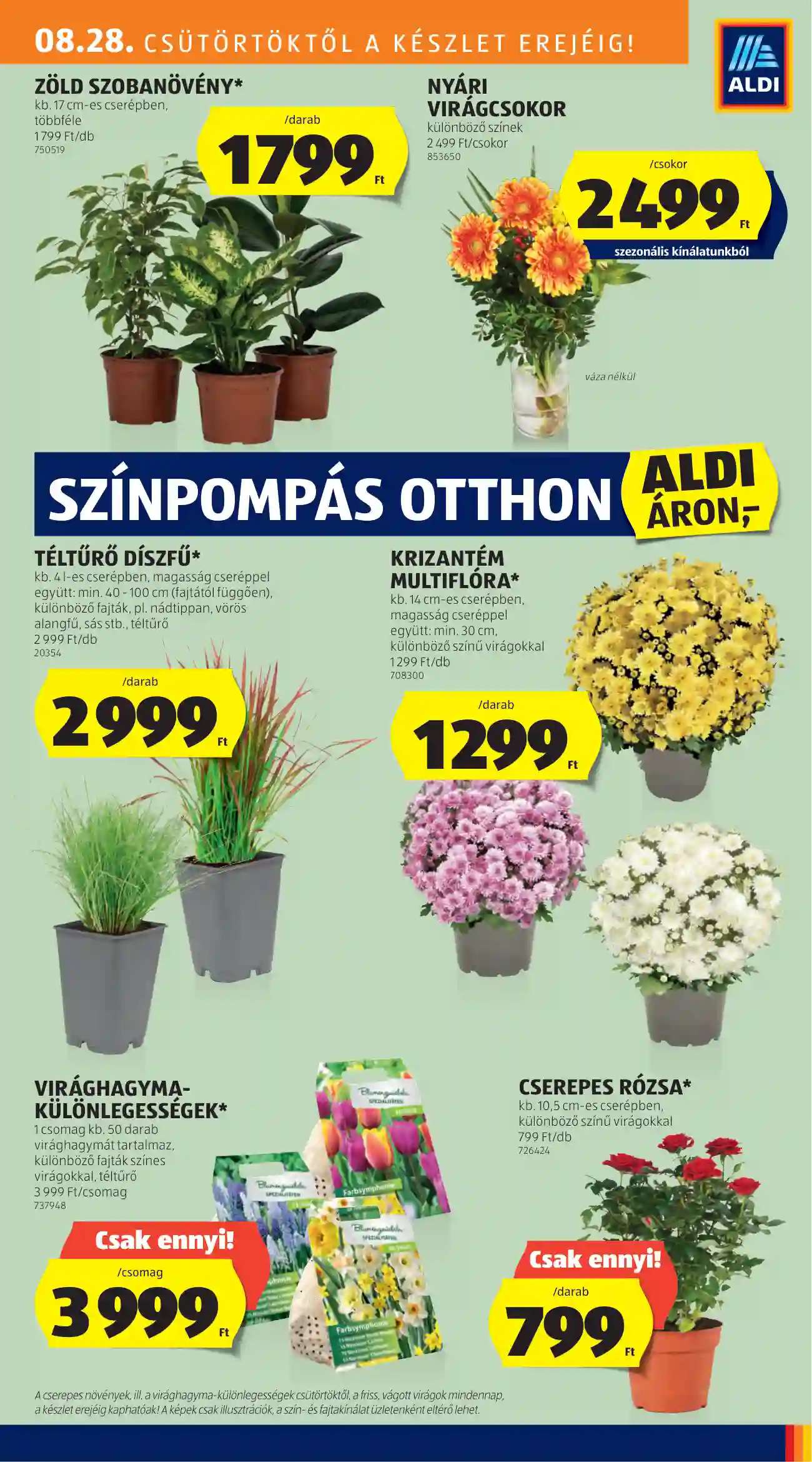 Aldi akciós újság 35. hét (11 oldal)