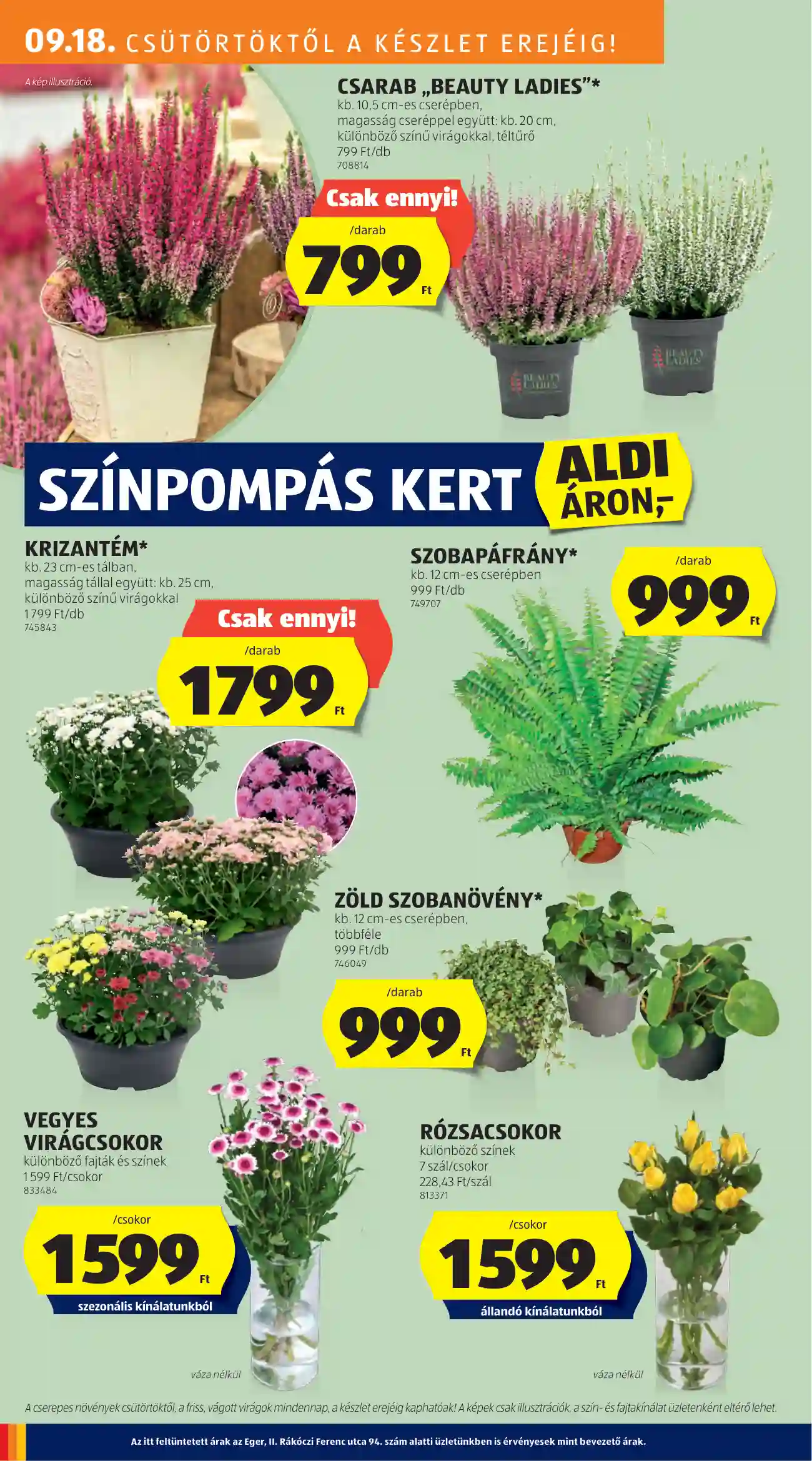 Aldi akciós újság 38. hét (15 oldal)
