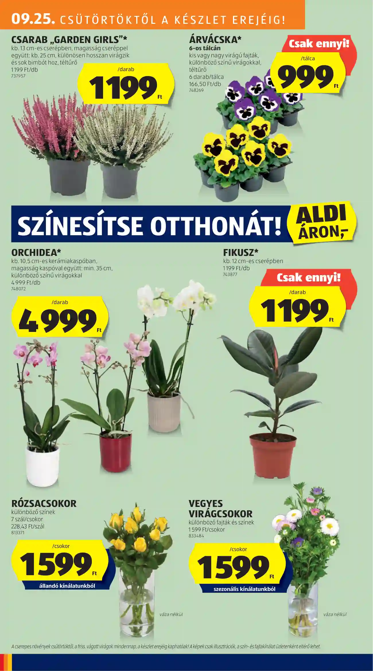 Aldi akciós újság 39. hét (21 oldal)
