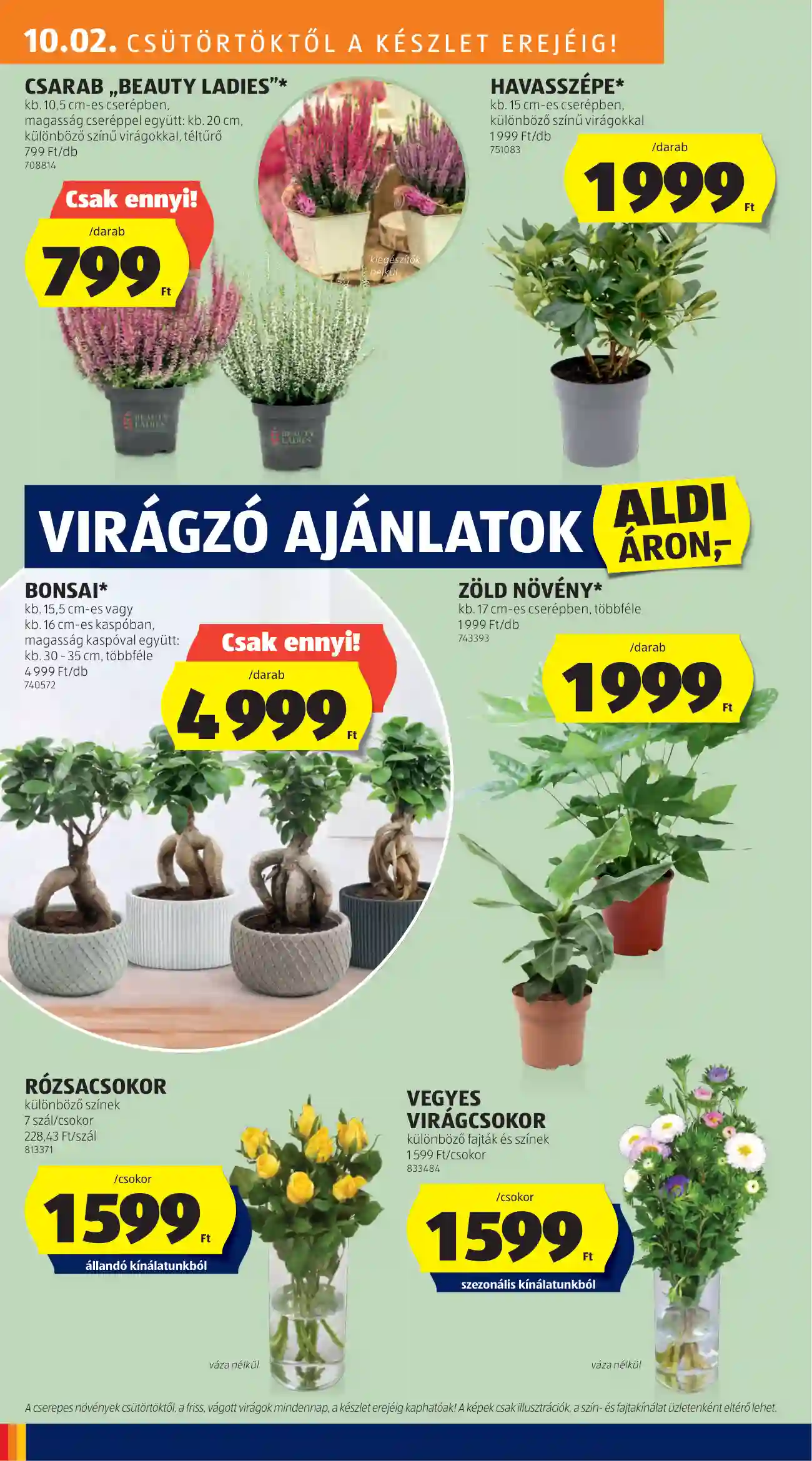 Aldi akciós újság 40. hét (19 oldal)