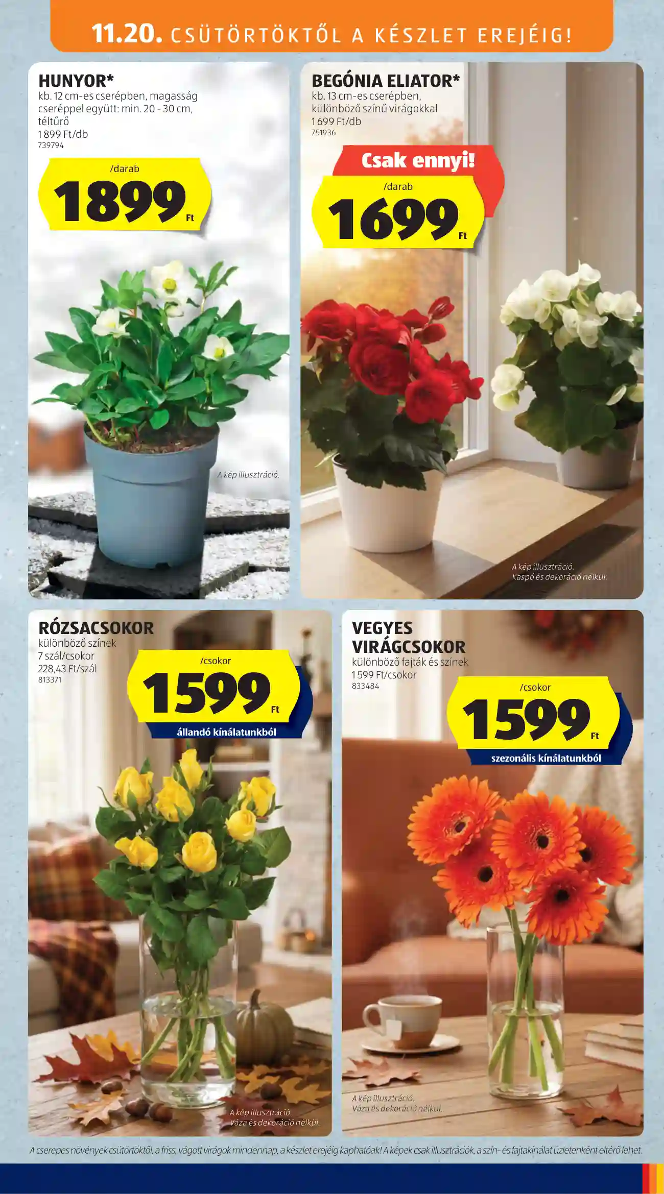 Aldi akciós újság 47. hét (25 oldal)