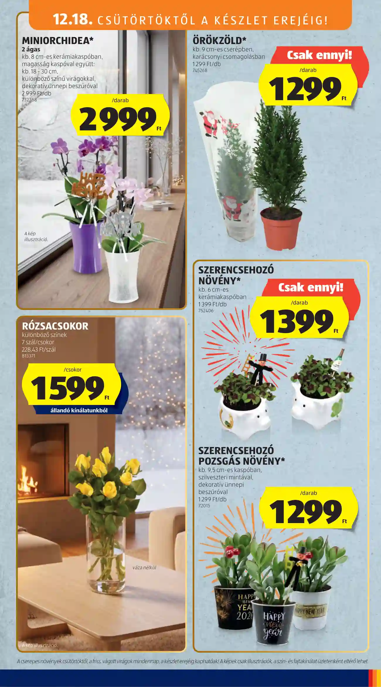 Aldi akciós újság 51. hét (29 oldal)