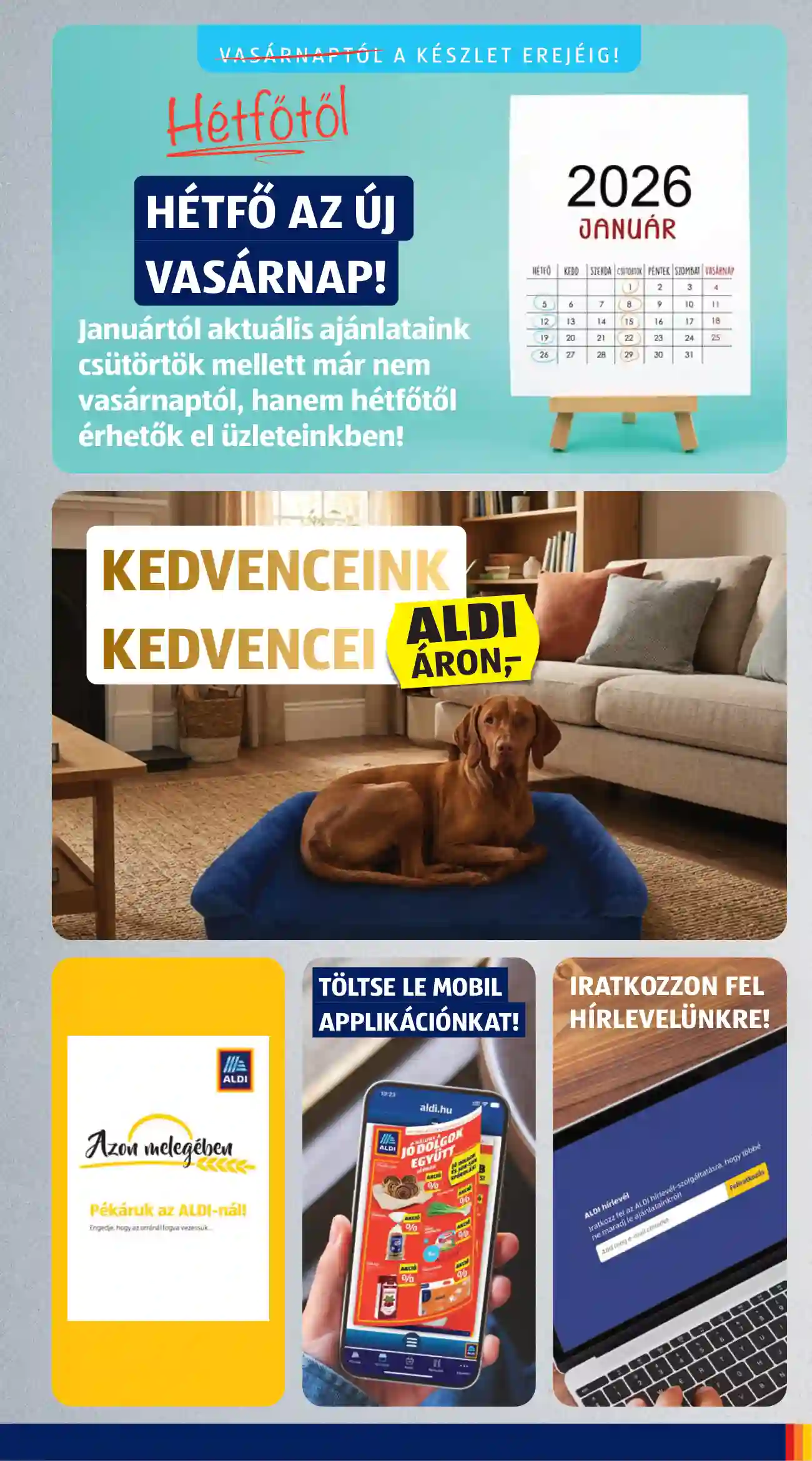 Aldi akciós újság 52. hét (13 oldal)