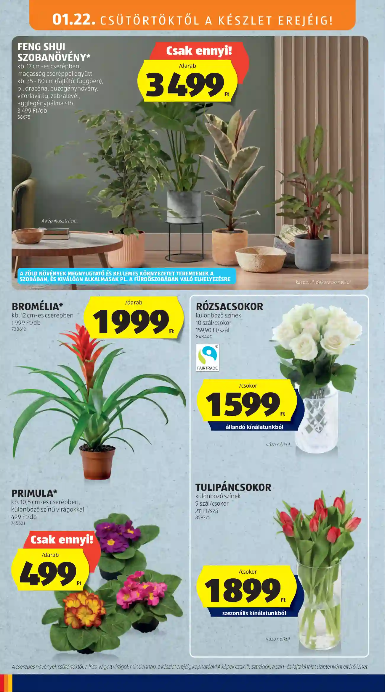 Aldi akciós újság 4. hét (19 oldal)