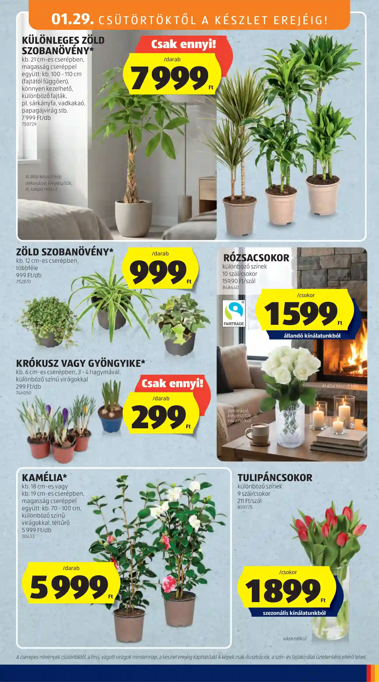 Aldi akciós újság 5. hét (18 oldal)