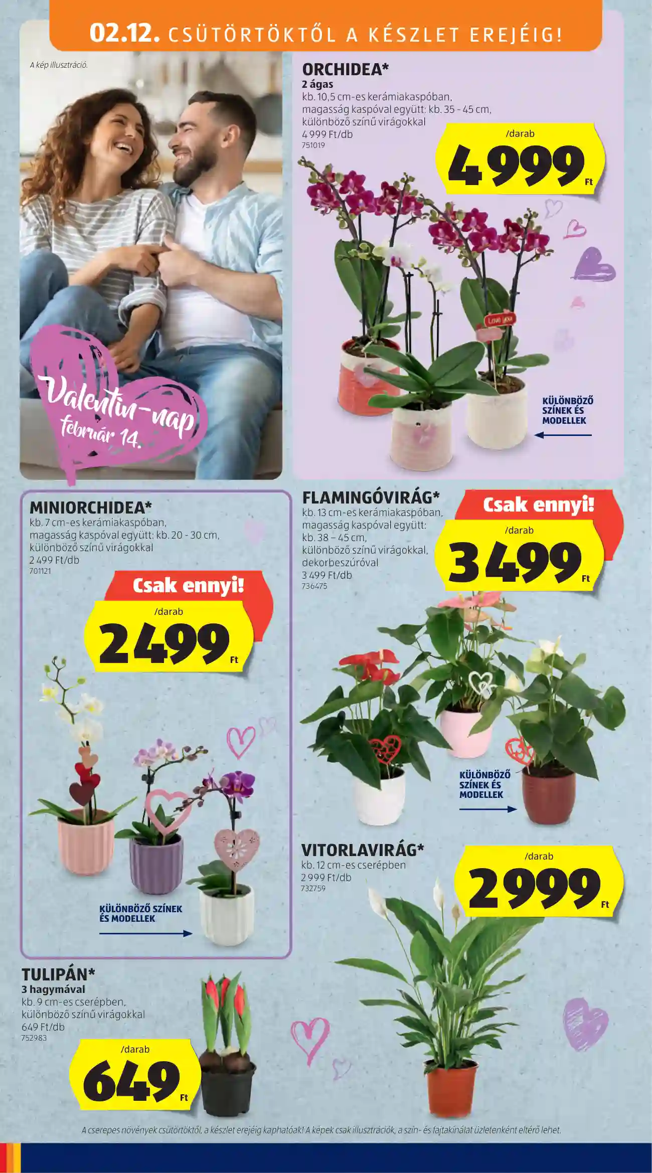 Aldi akciós újság 7. hét (8 oldal)