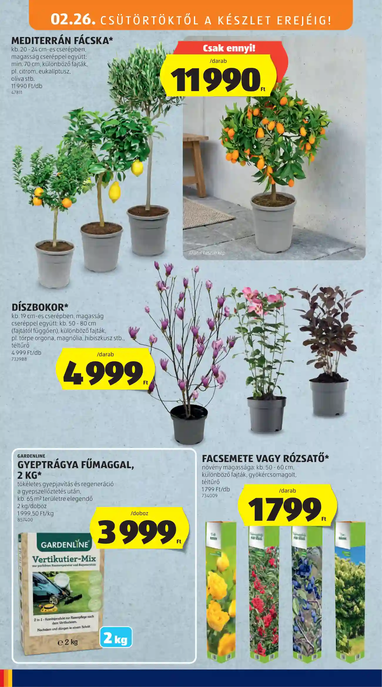 Aldi akciós újság 9. hét (21 oldal)
