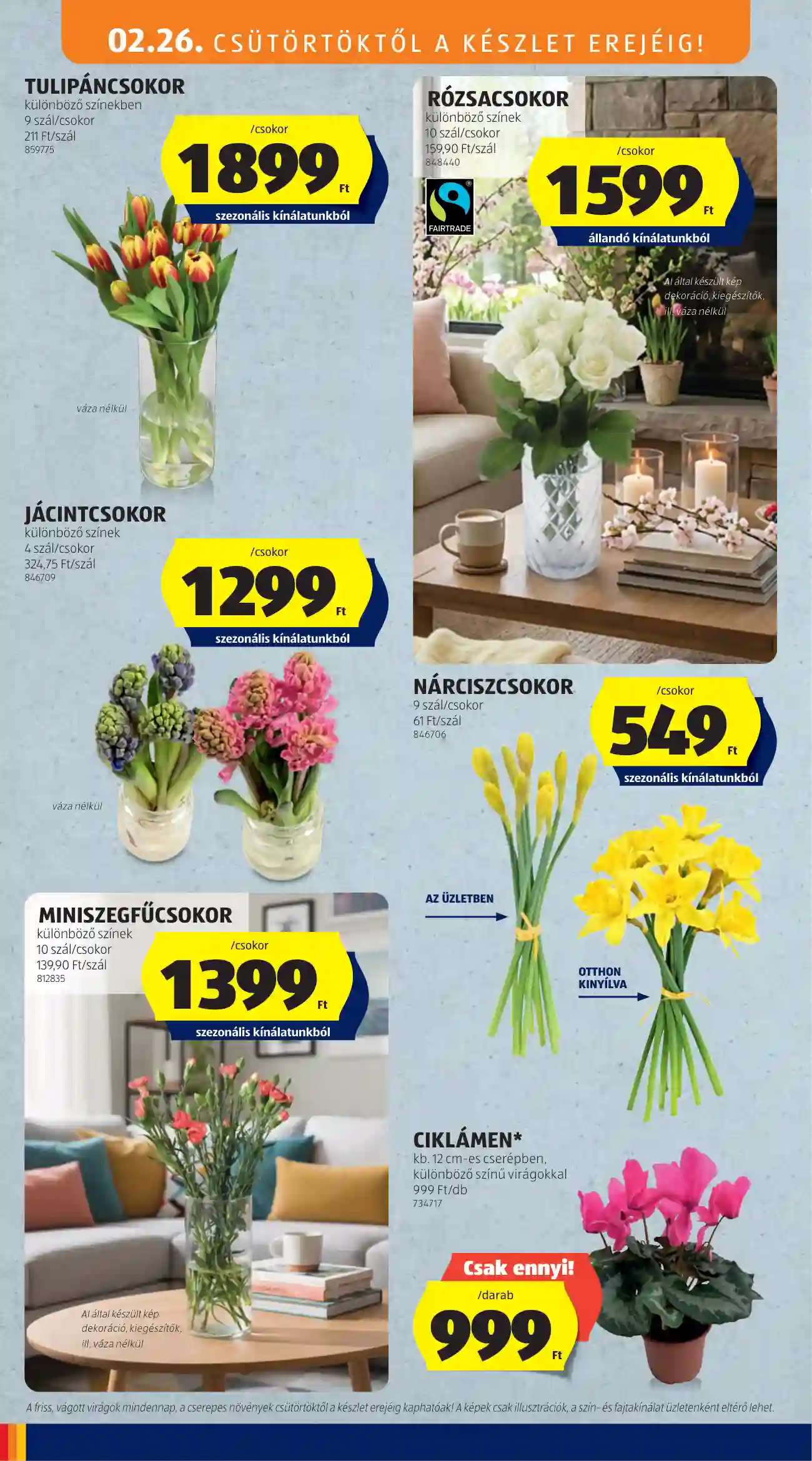 Aldi akciós újság 9. hét (23 oldal)