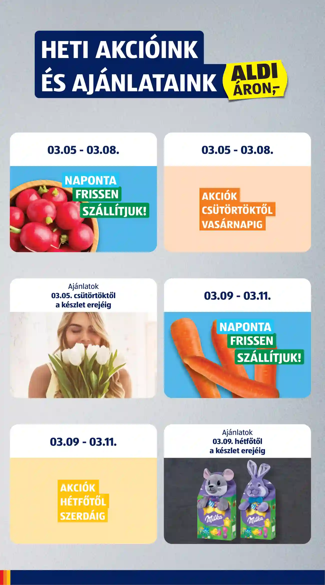 ALDI AKCIÓS ÚJSÁG 10. HÉT  (2 oldal)