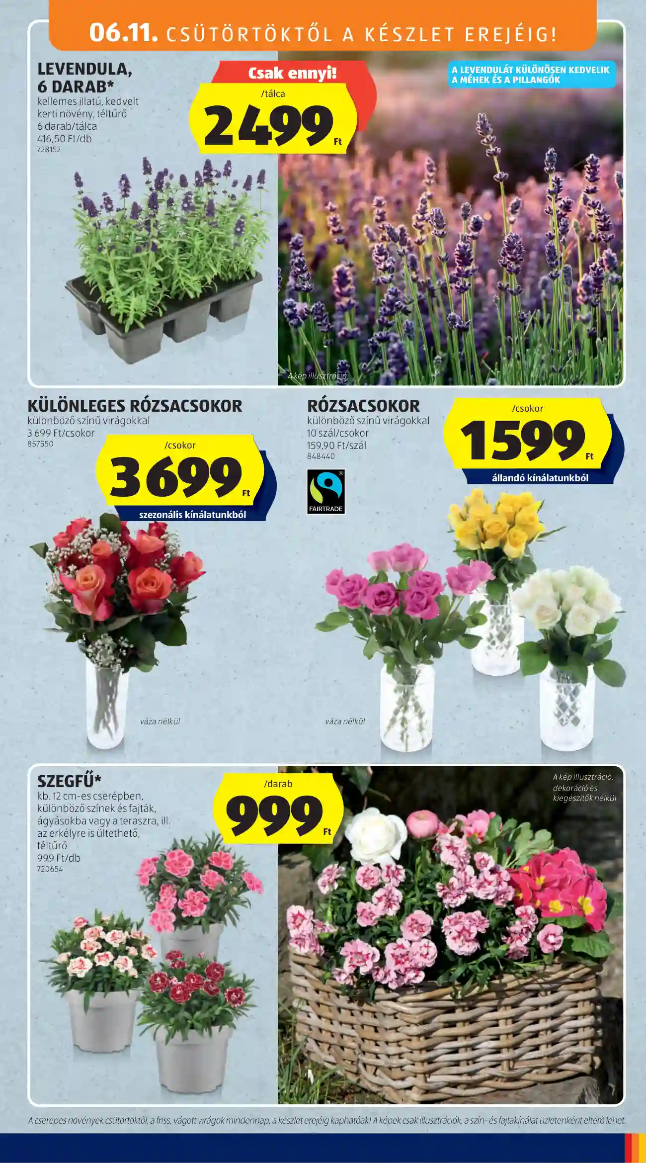 RÓZSACSOKOR különböző színű virágokkal 10 szál/csokor – ALDI akciós újság 34. oldal