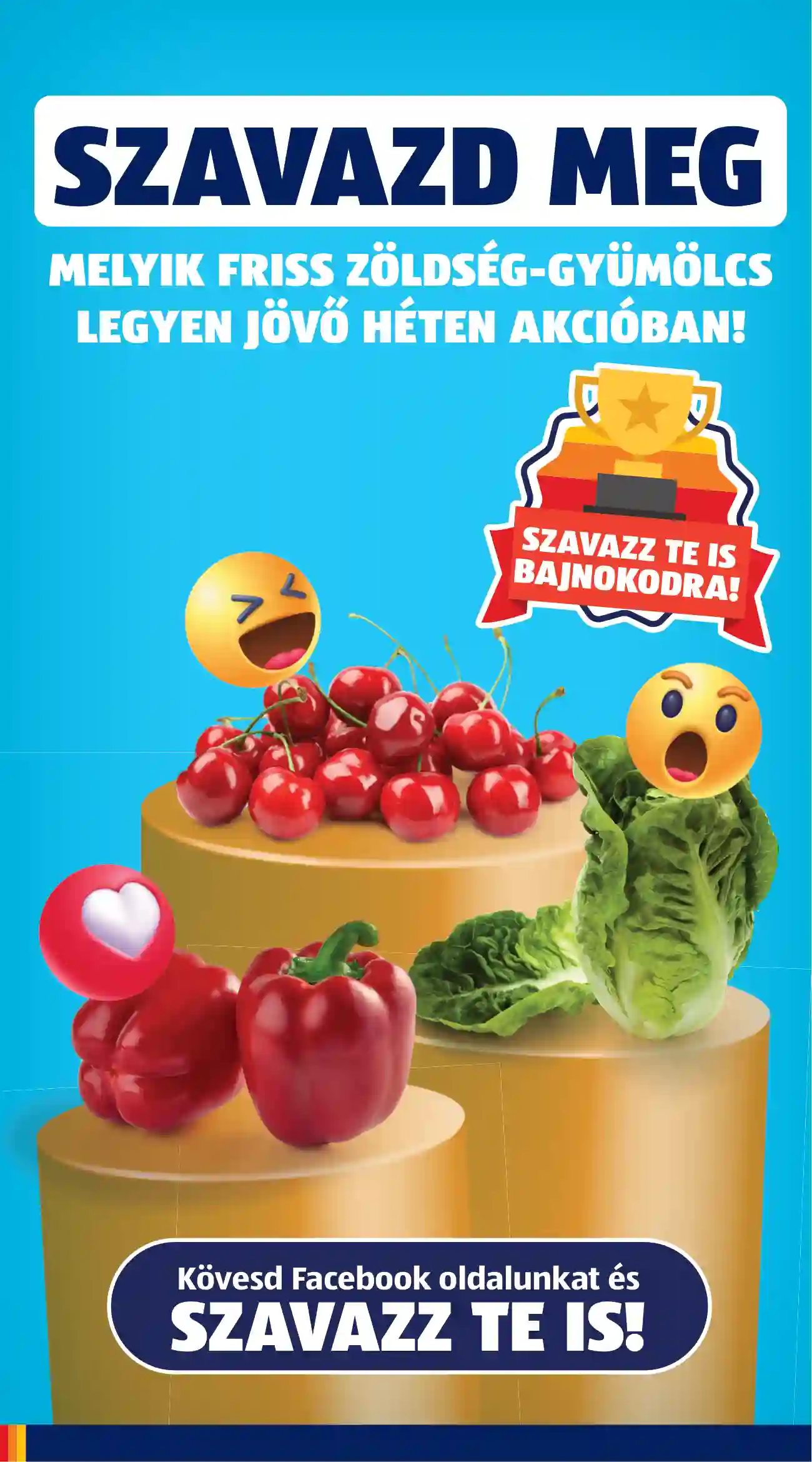 Aldi akciós újság 24. hét (59 oldal)