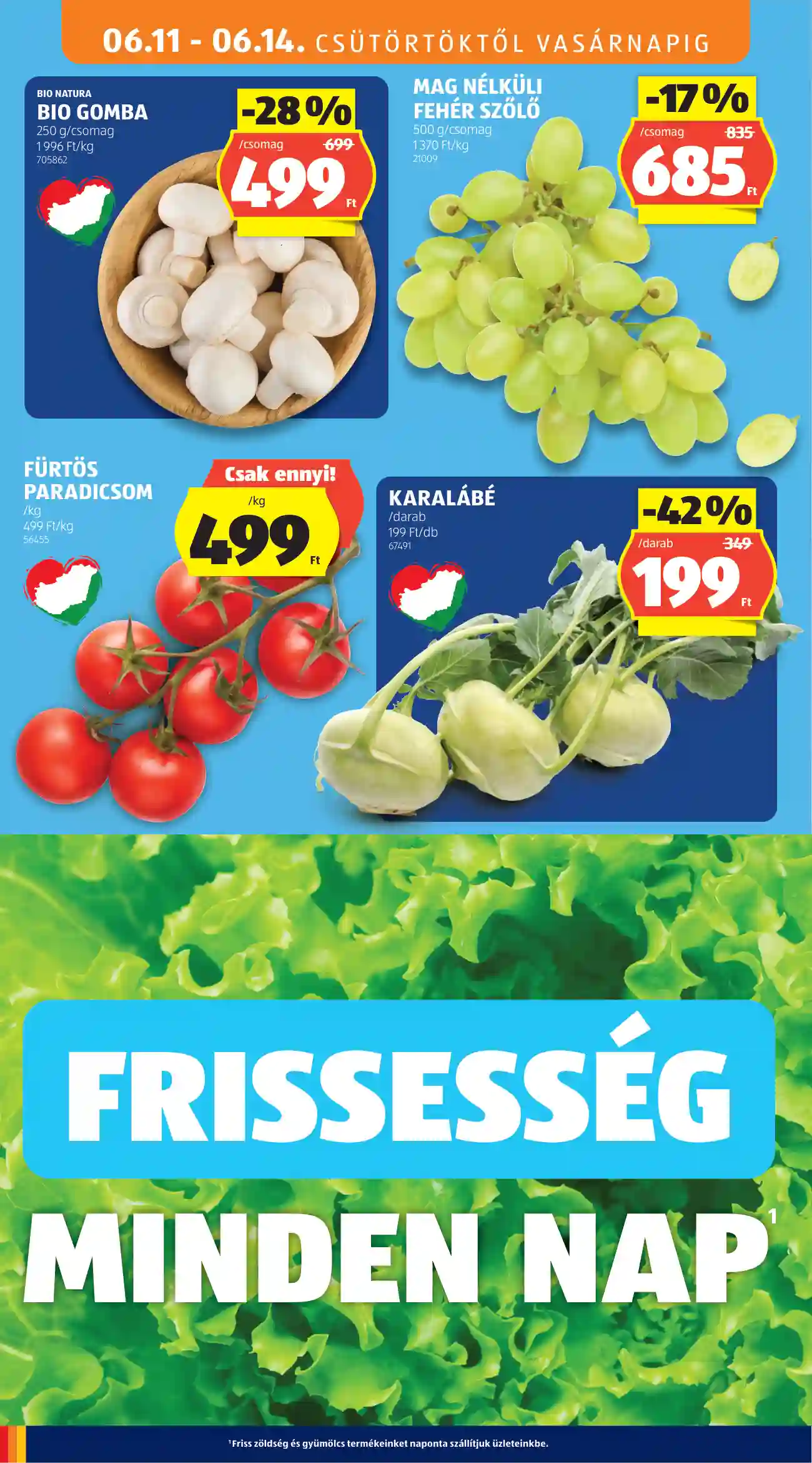 Aldi akciós újság 24. hét (61 oldal)