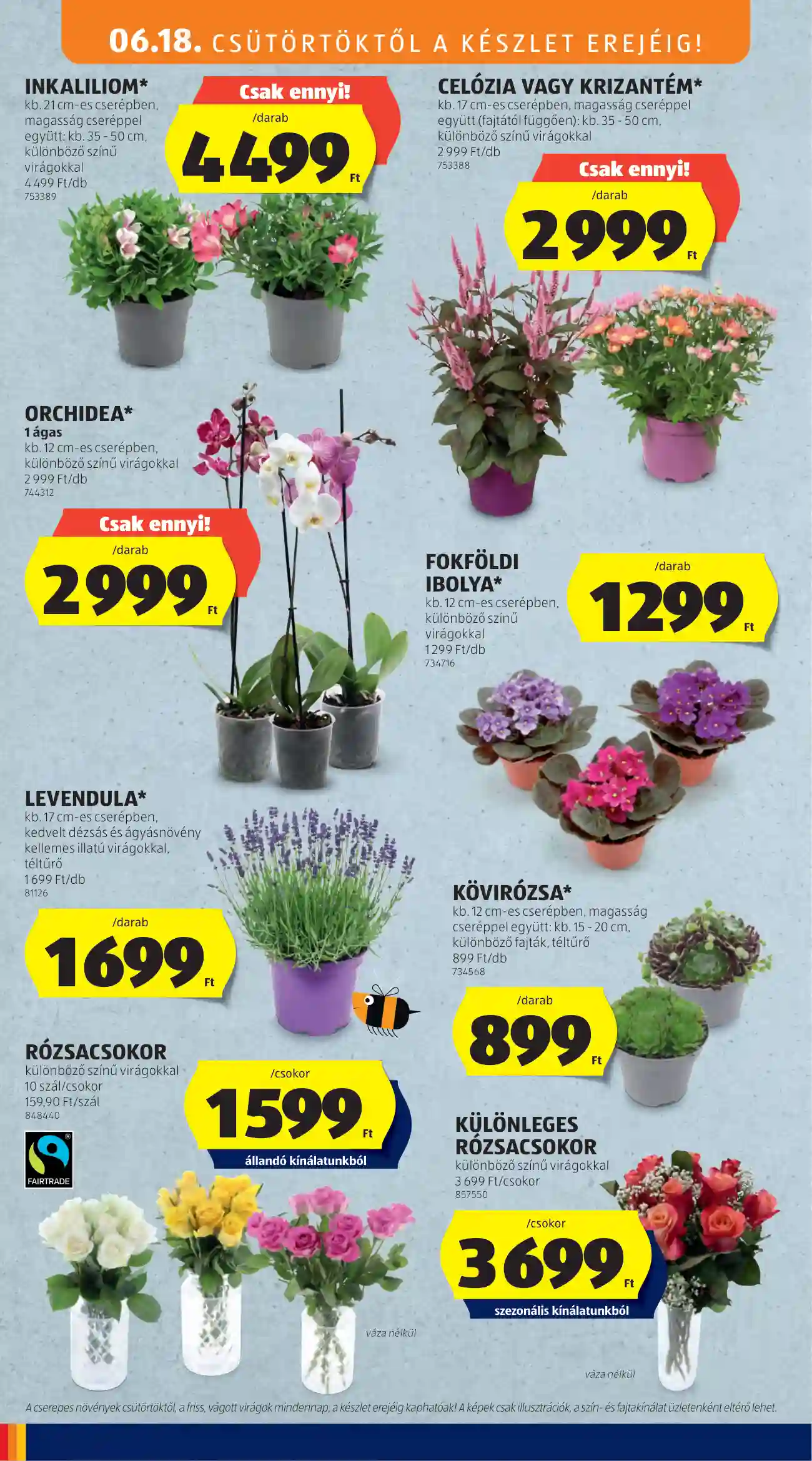 Aldi akciós újság 25. hét (28 oldal)