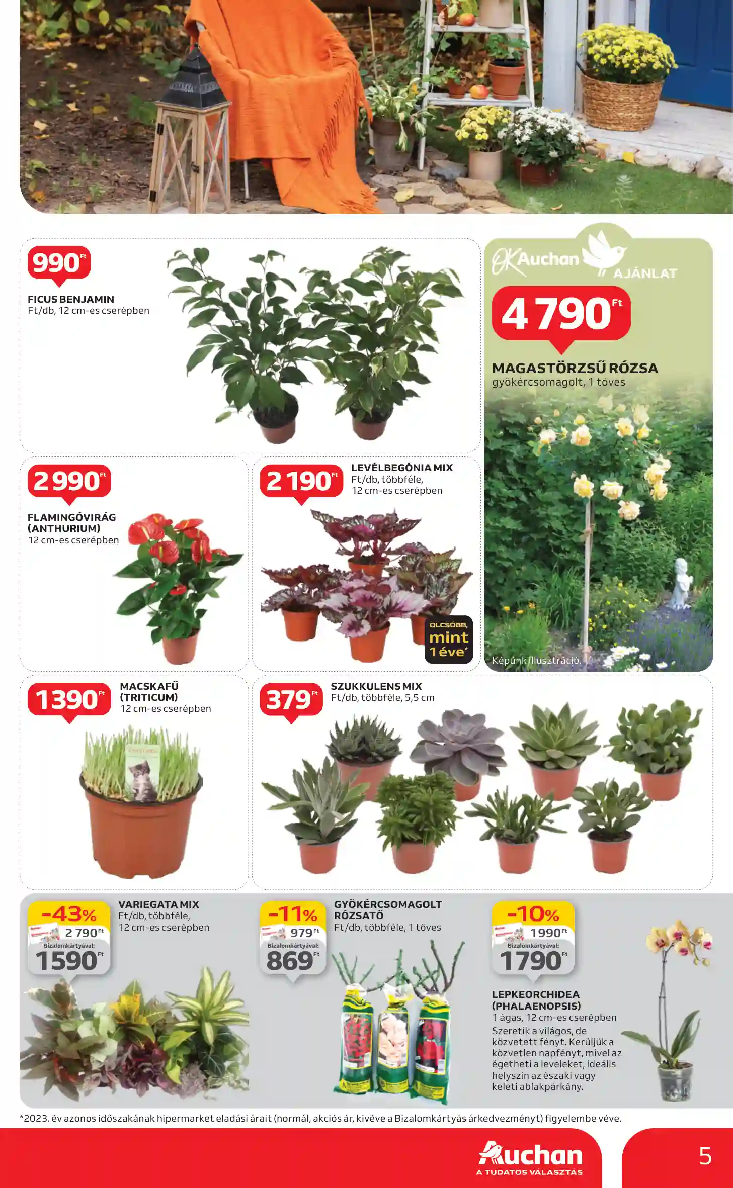 Auchan akciós újság 38. hét (5 oldal)