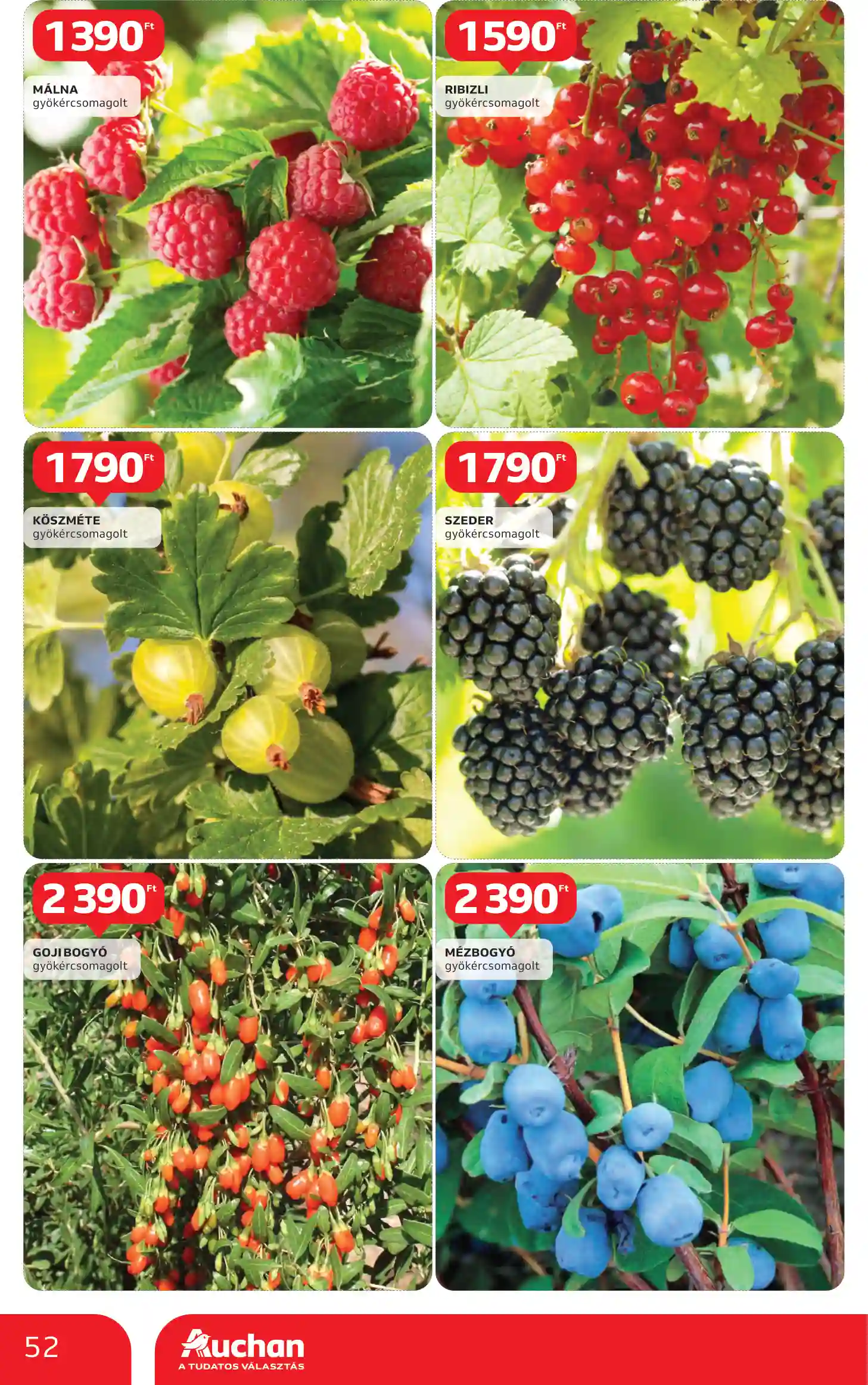 Auchan akciós újság 42. hét (48 oldal)