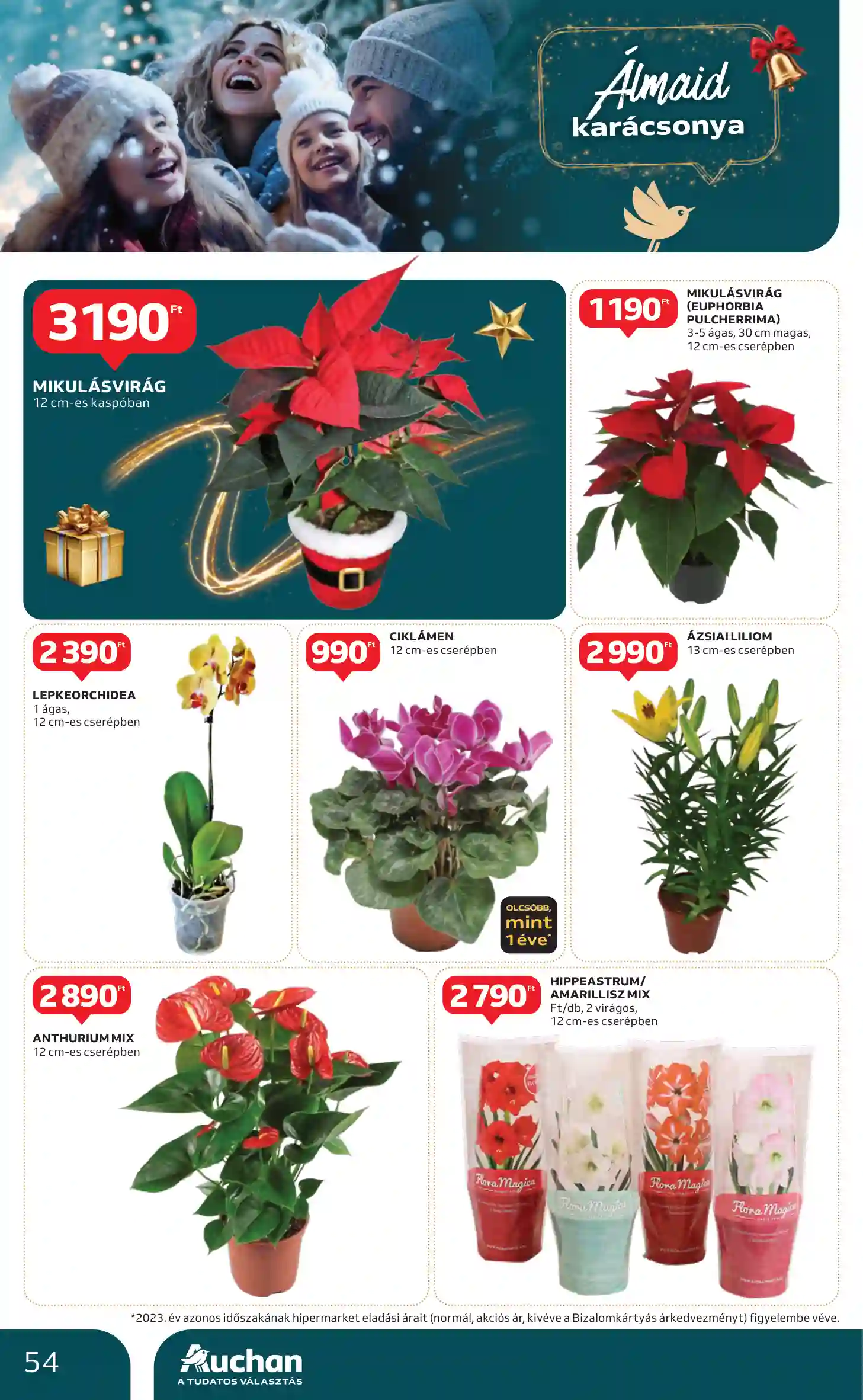Auchan akciós újság 47. hét (50 oldal)