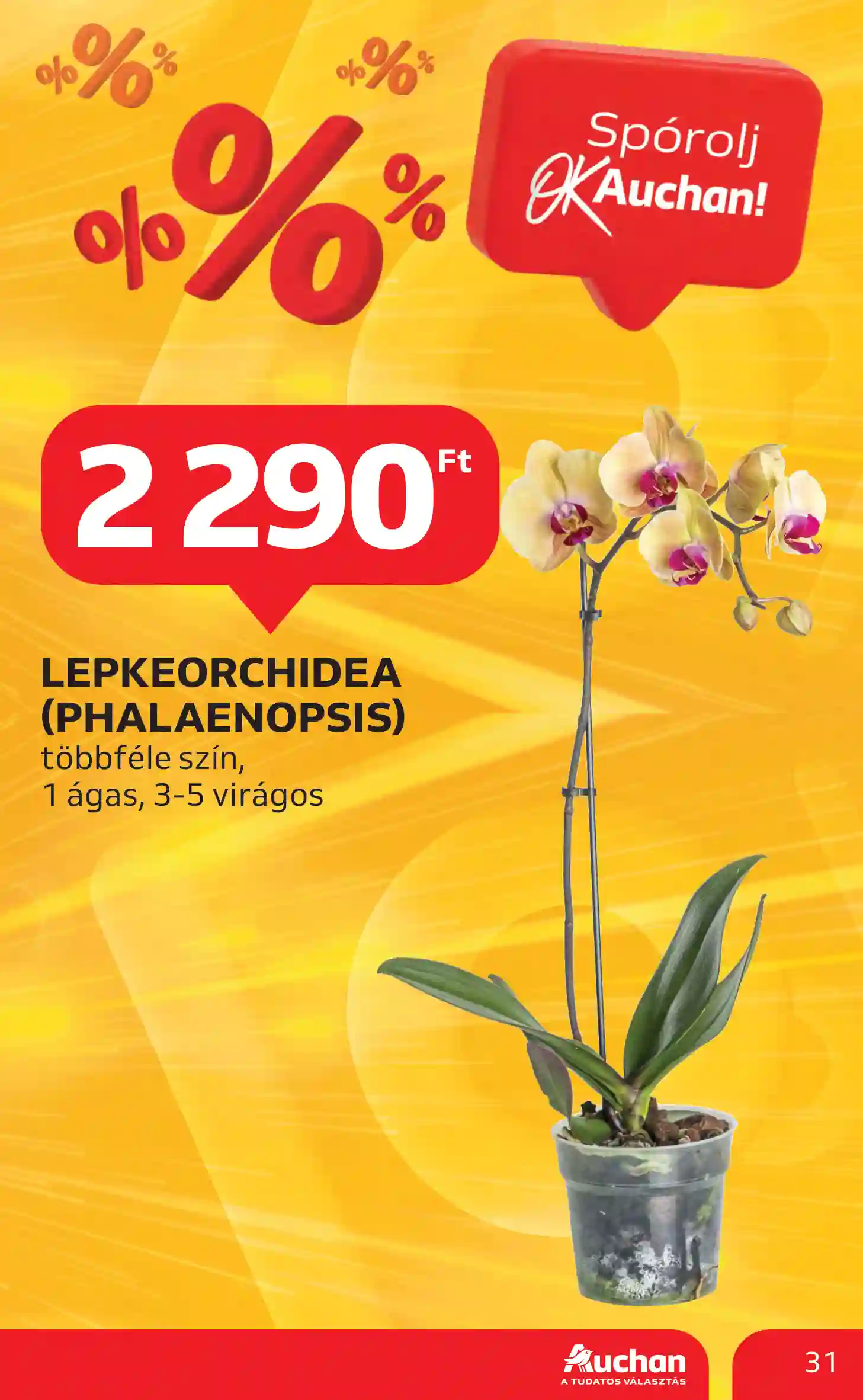 Auchan akciós újság 6. hét (25 oldal)