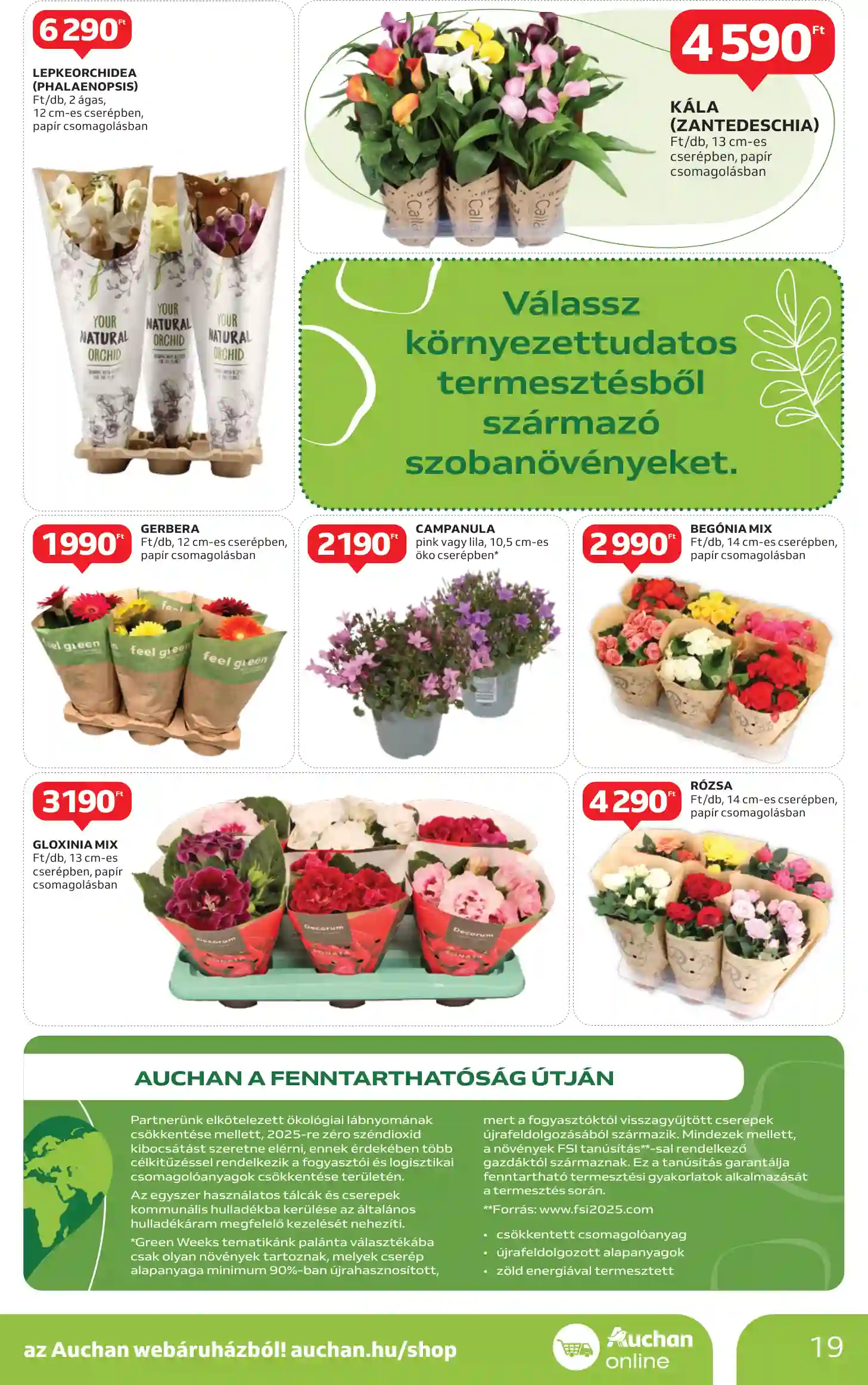 Auchan akciós újság 6. hét (11 oldal)