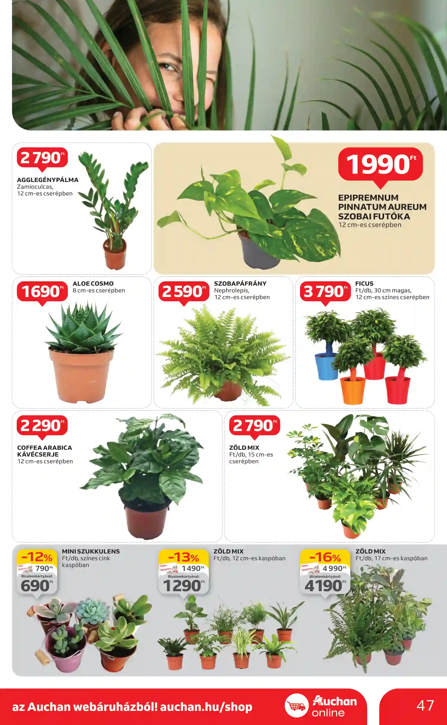 Auchan akciós újság 7. hét (42 oldal)